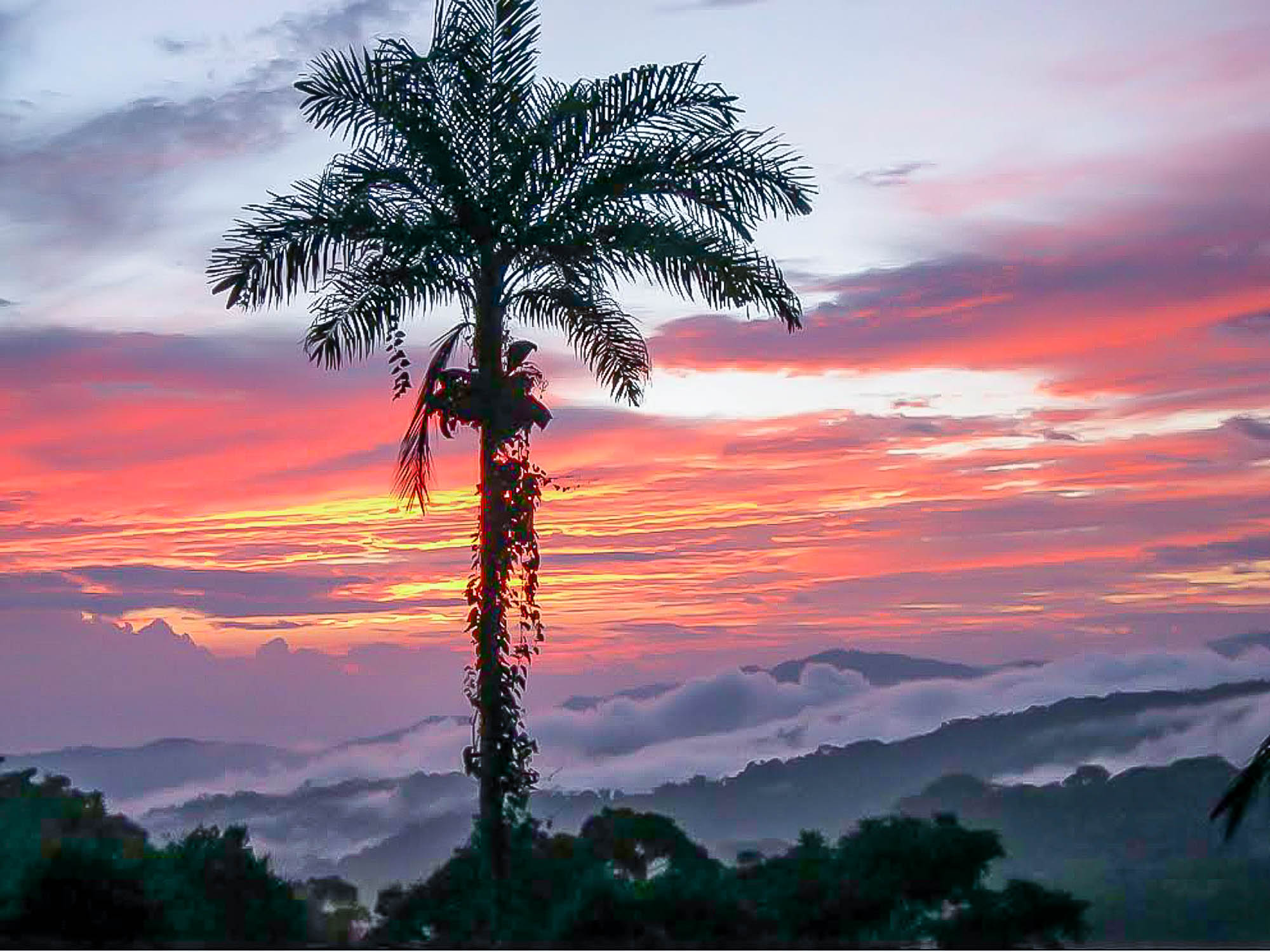 5 bed Single Family Homes For Sale in Dominical, Puntarenas - thumb 20