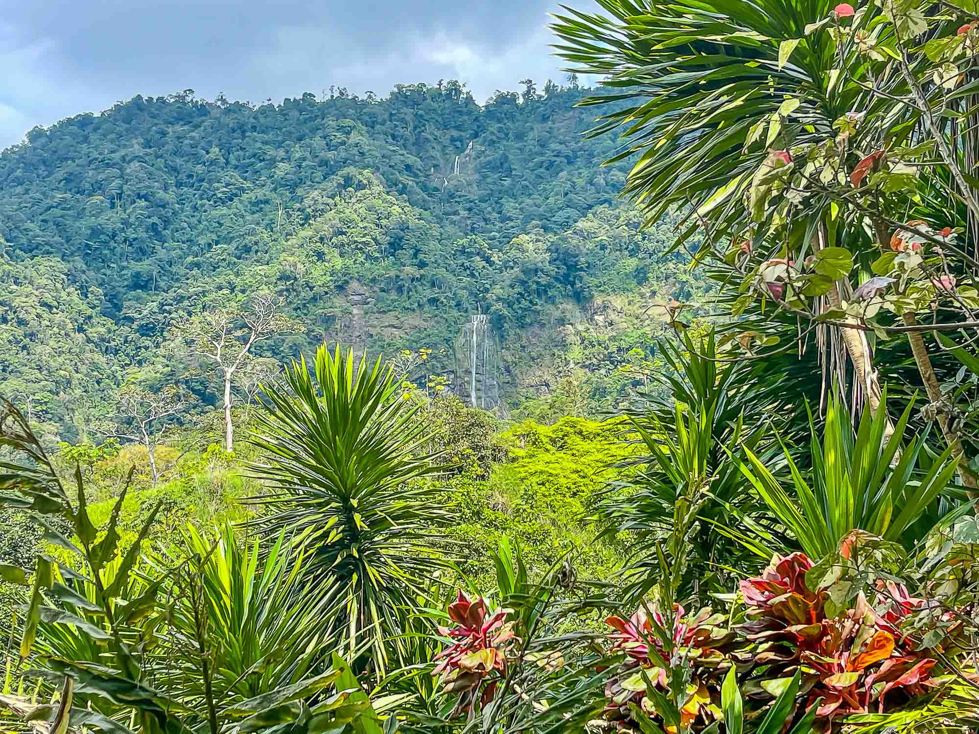 5 bed Single Family Homes For Sale in Dominical, Puntarenas - thumb 7