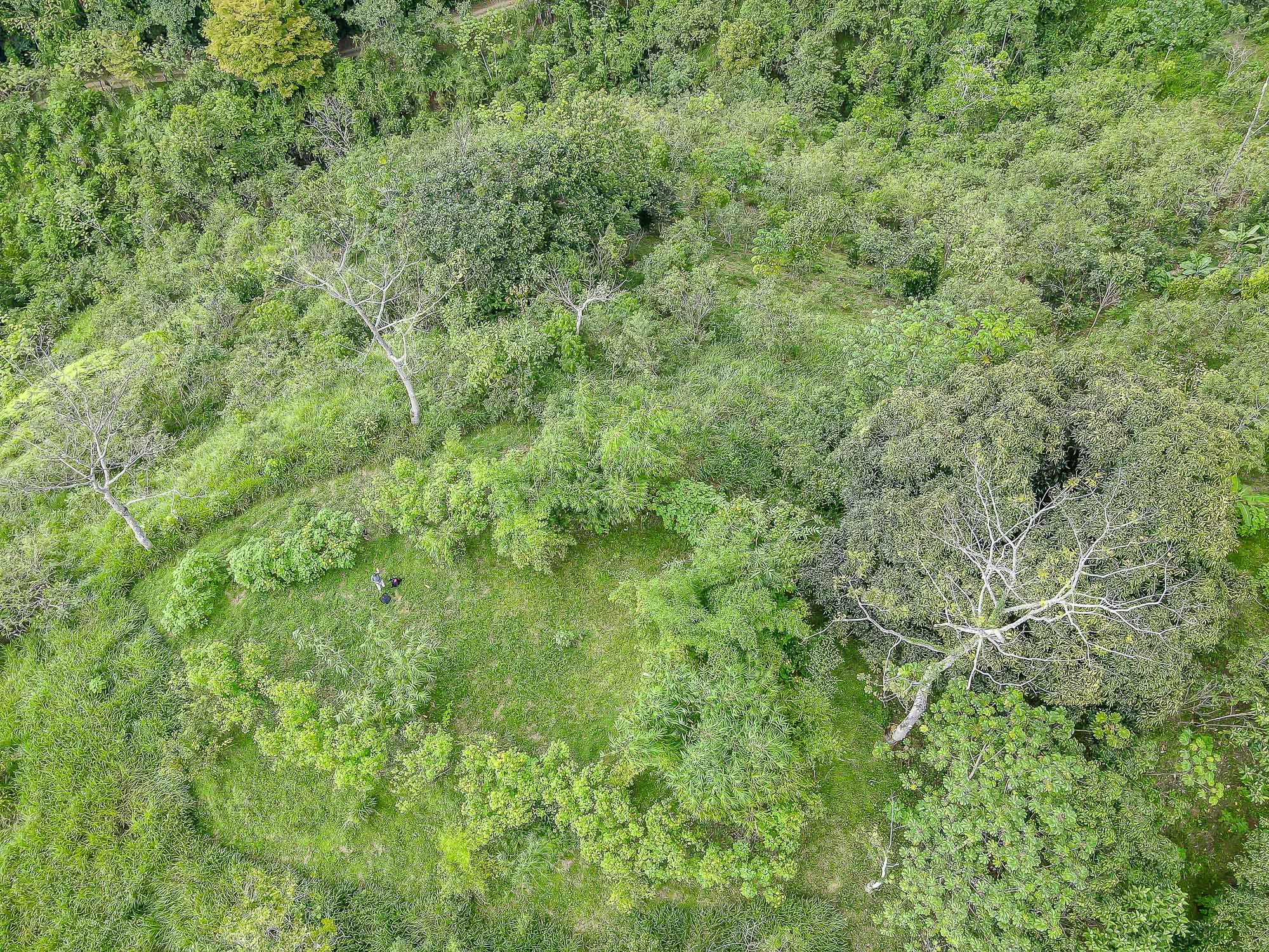 5 bed Single Family Homes For Sale in Dominical, Puntarenas - thumb 19