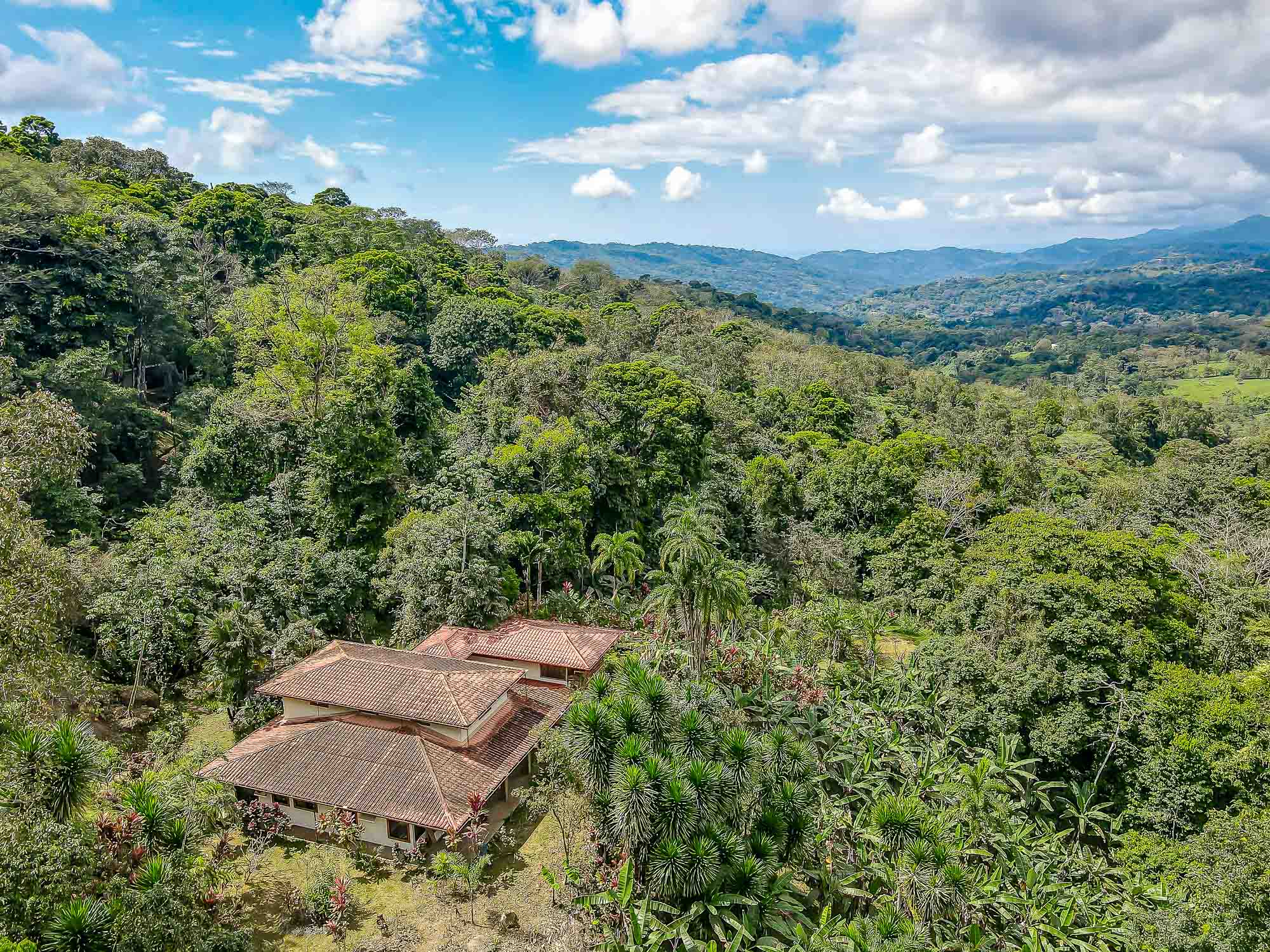 5 bed Single Family Homes For Sale in Dominical, Puntarenas - thumb 4