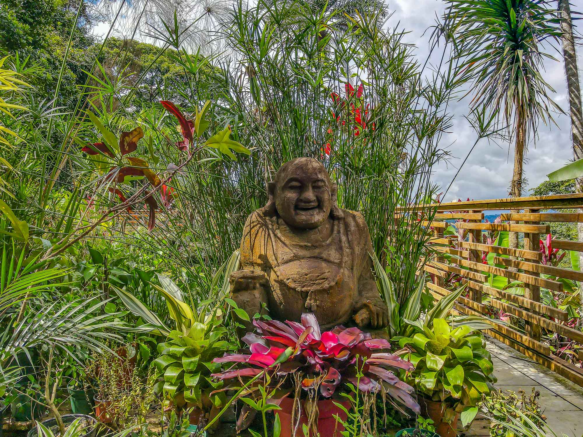 5 bed Single Family Homes For Sale in Dominical, Puntarenas - thumb 6