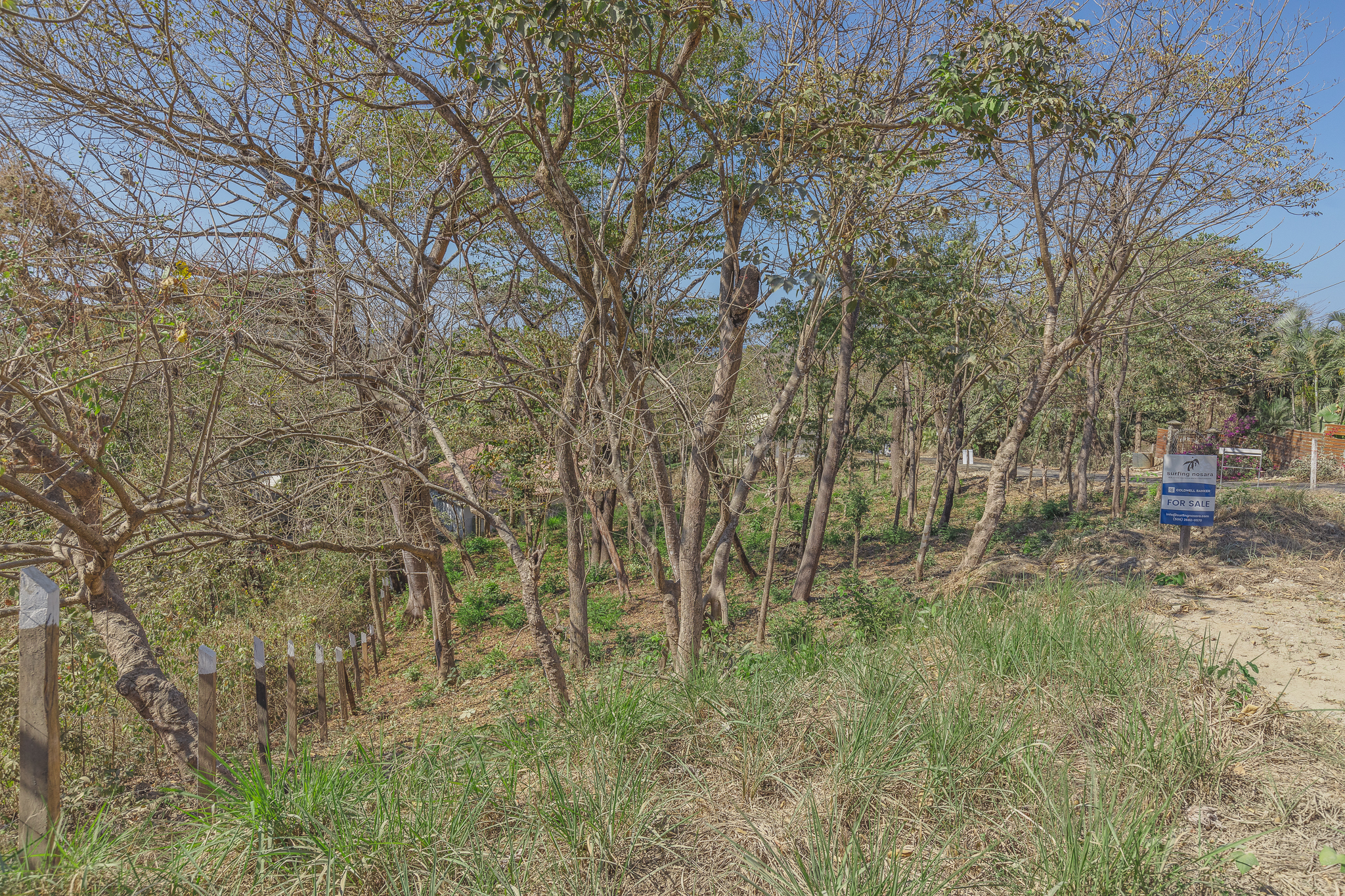 0 bed Land For Sale in Playa Pelada, Guanacaste - thumb 5