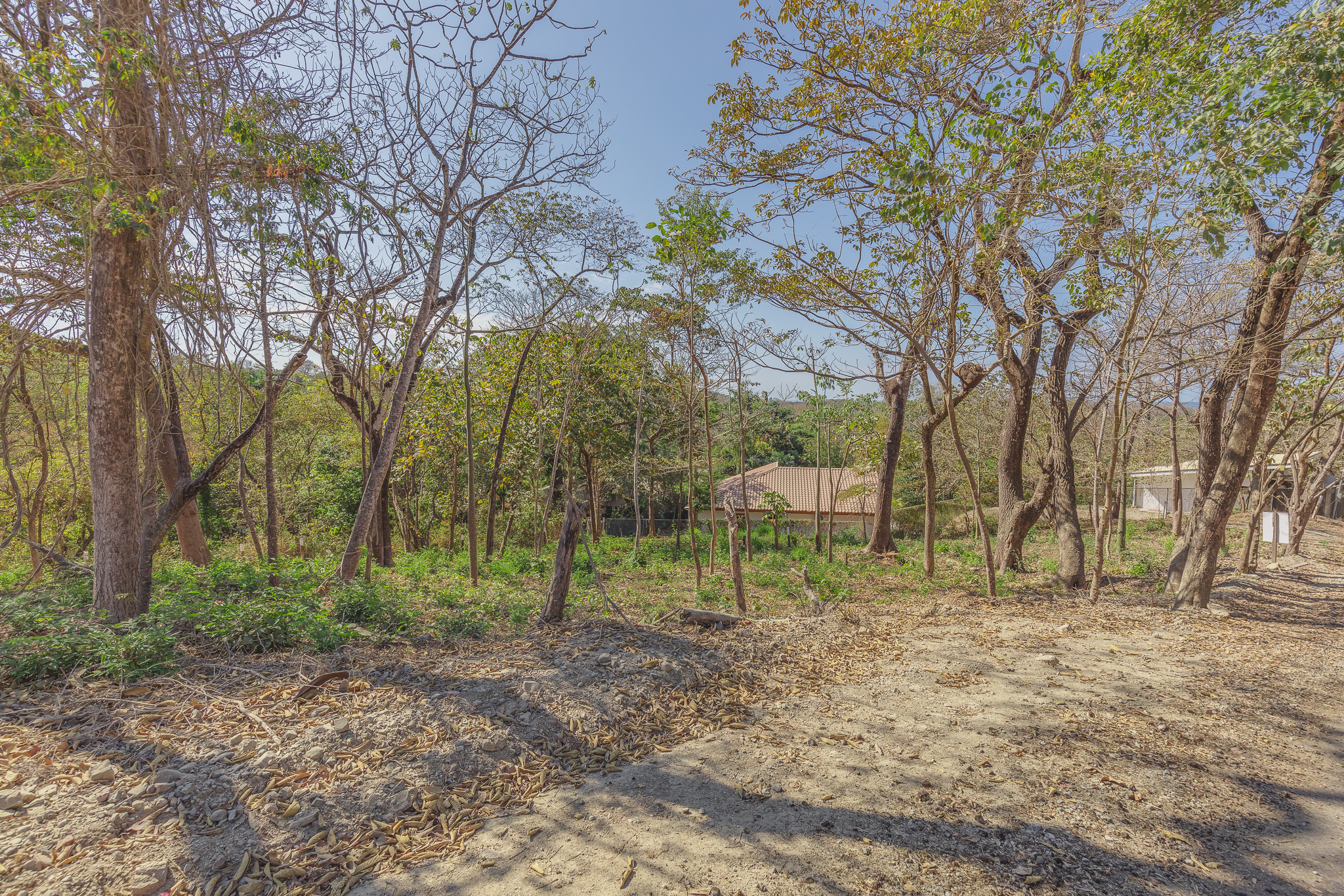 0 bed Land For Sale in Playa Pelada, Guanacaste - thumb 6