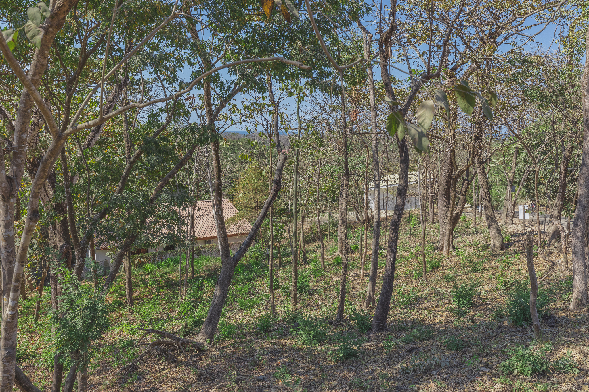0 bed Land For Sale in Playa Pelada, Guanacaste - thumb 3