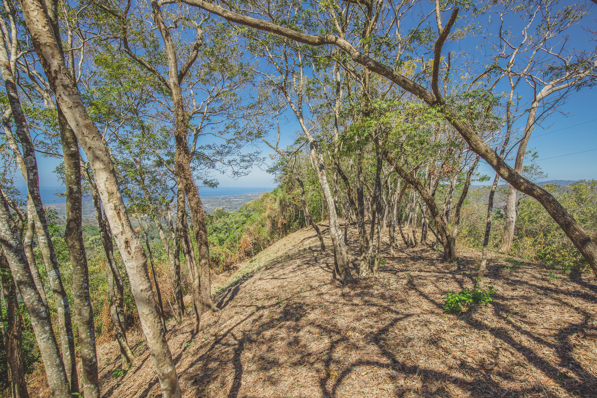 0 bed Land For Sale in San Juan, Guanacaste - thumb 8