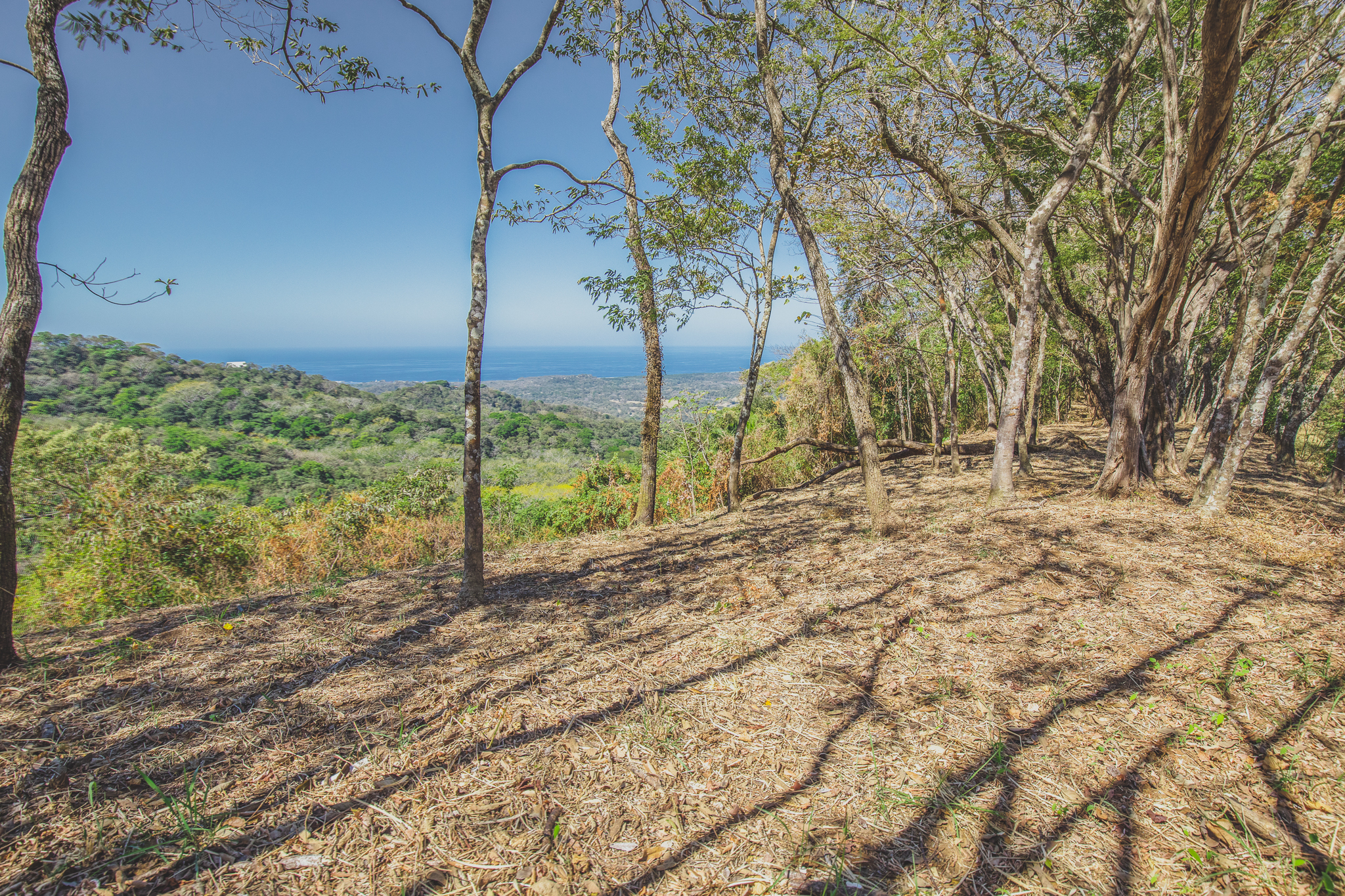 0 bed Land For Sale in San Juan, Guanacaste - thumb 10