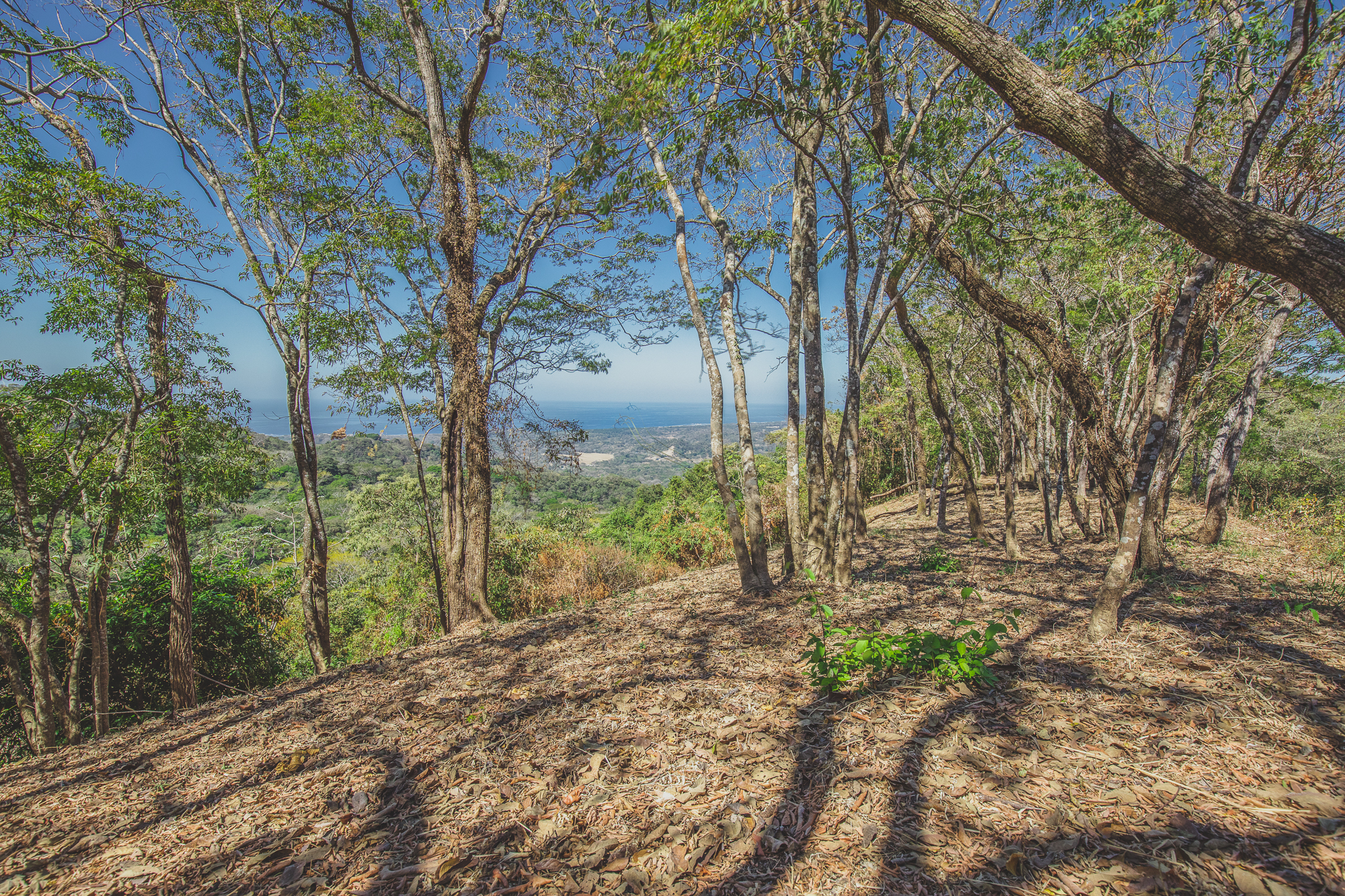0 bed Land For Sale in San Juan, Guanacaste - thumb 9