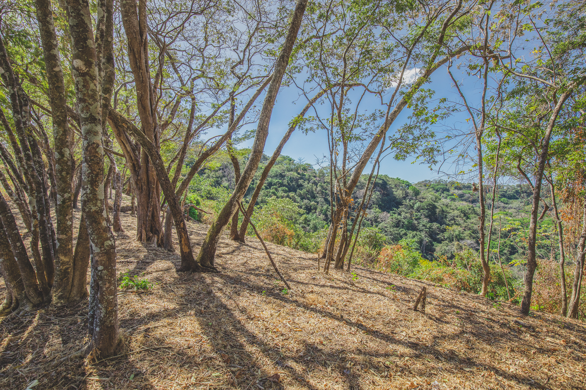 0 bed Land For Sale in San Juan, Guanacaste - thumb 7