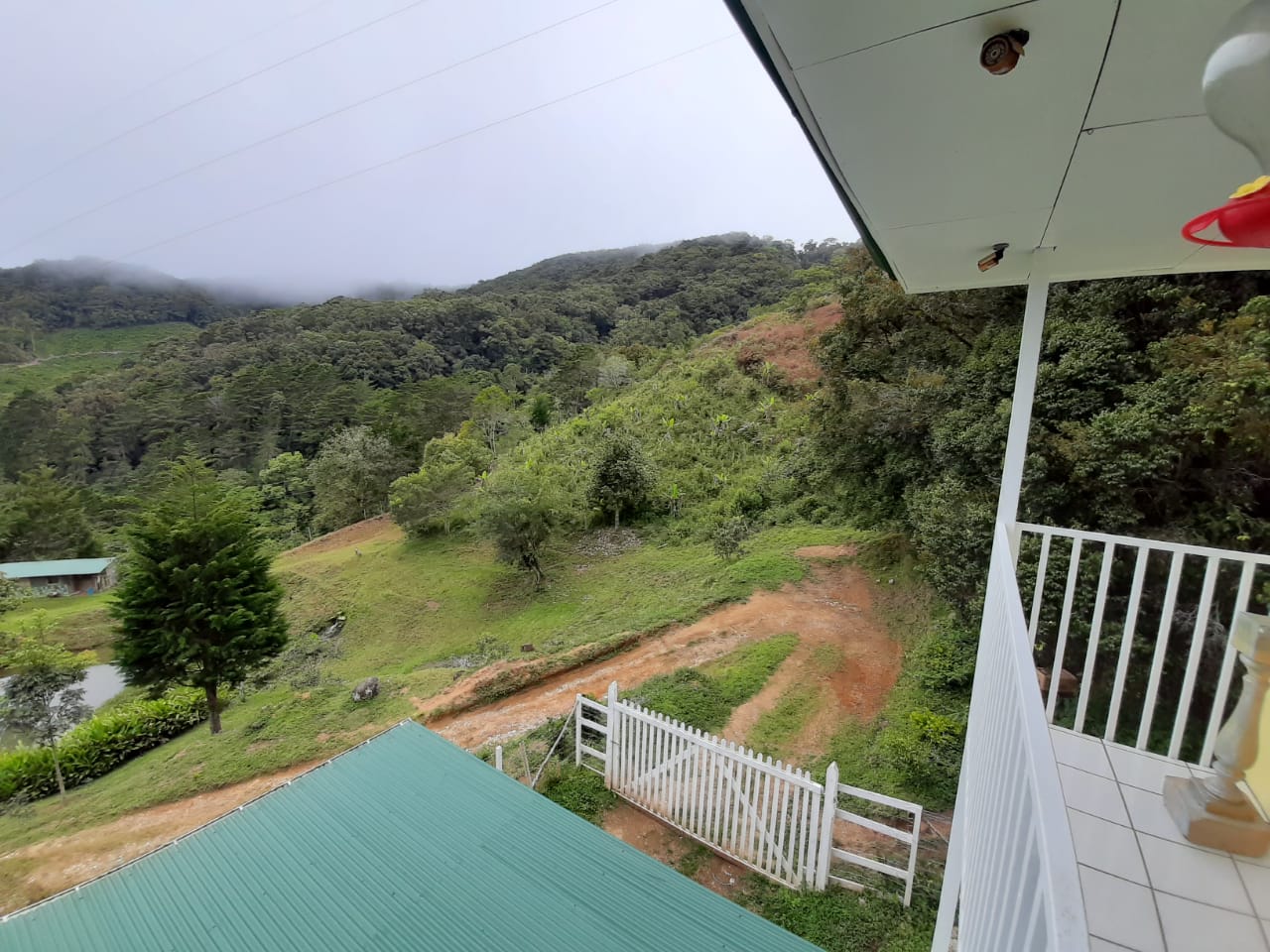 9 bed Land For Sale in Concepción, Cartago - thumb 4