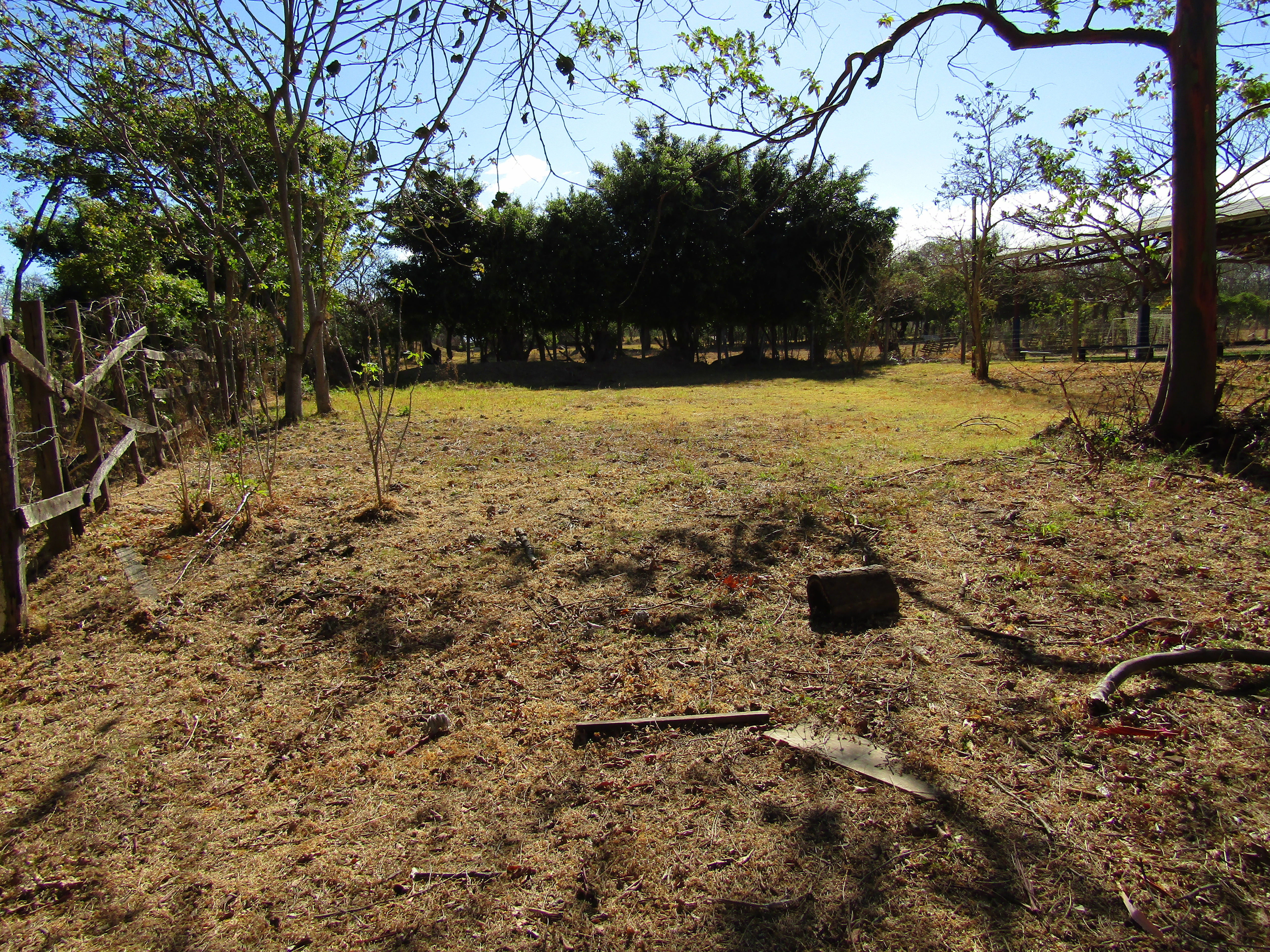 0 bed Land For Sale in Santa Ana, San Jose - thumb 11