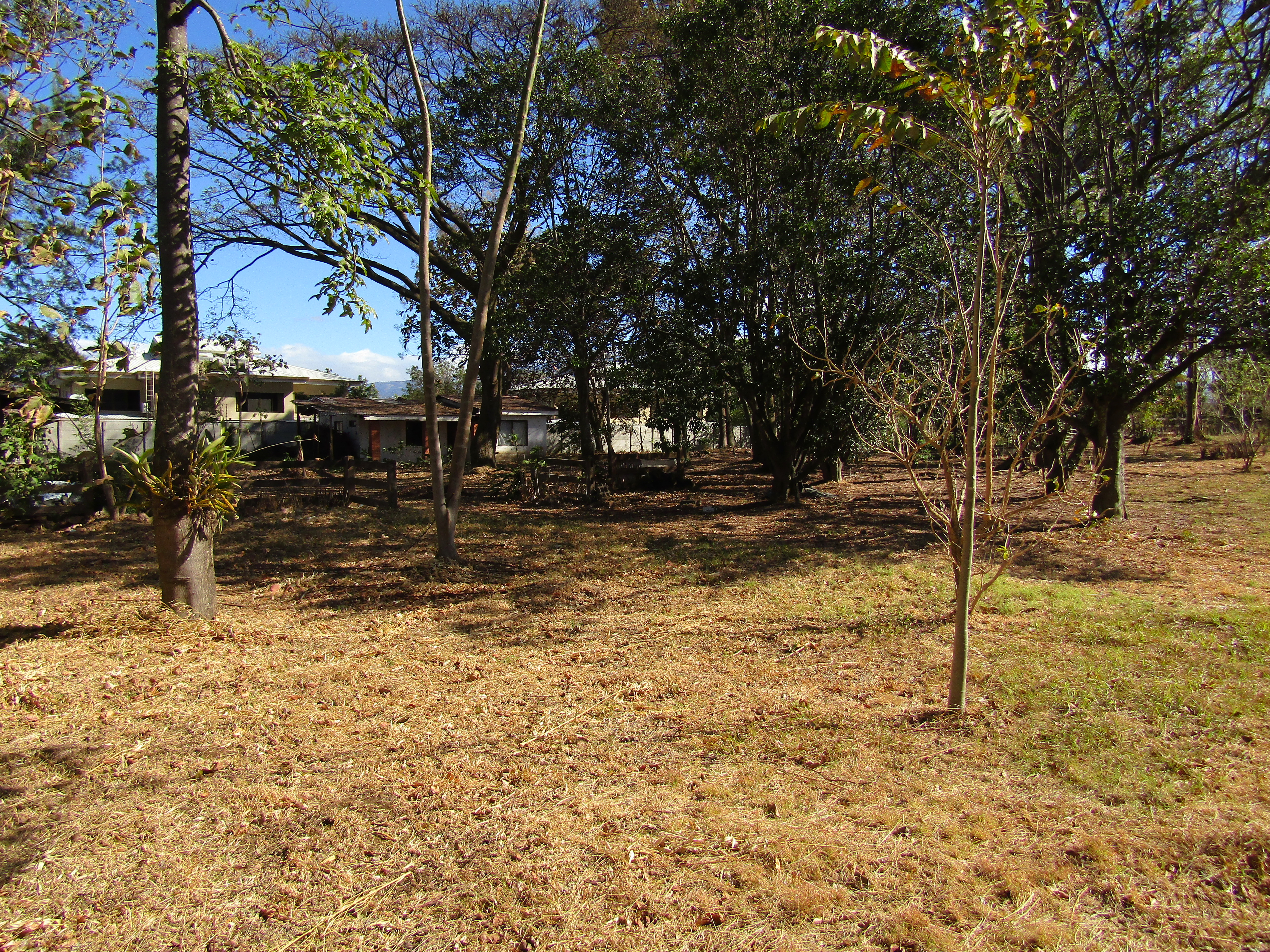 0 bed Land For Sale in Santa Ana, San Jose - thumb 6