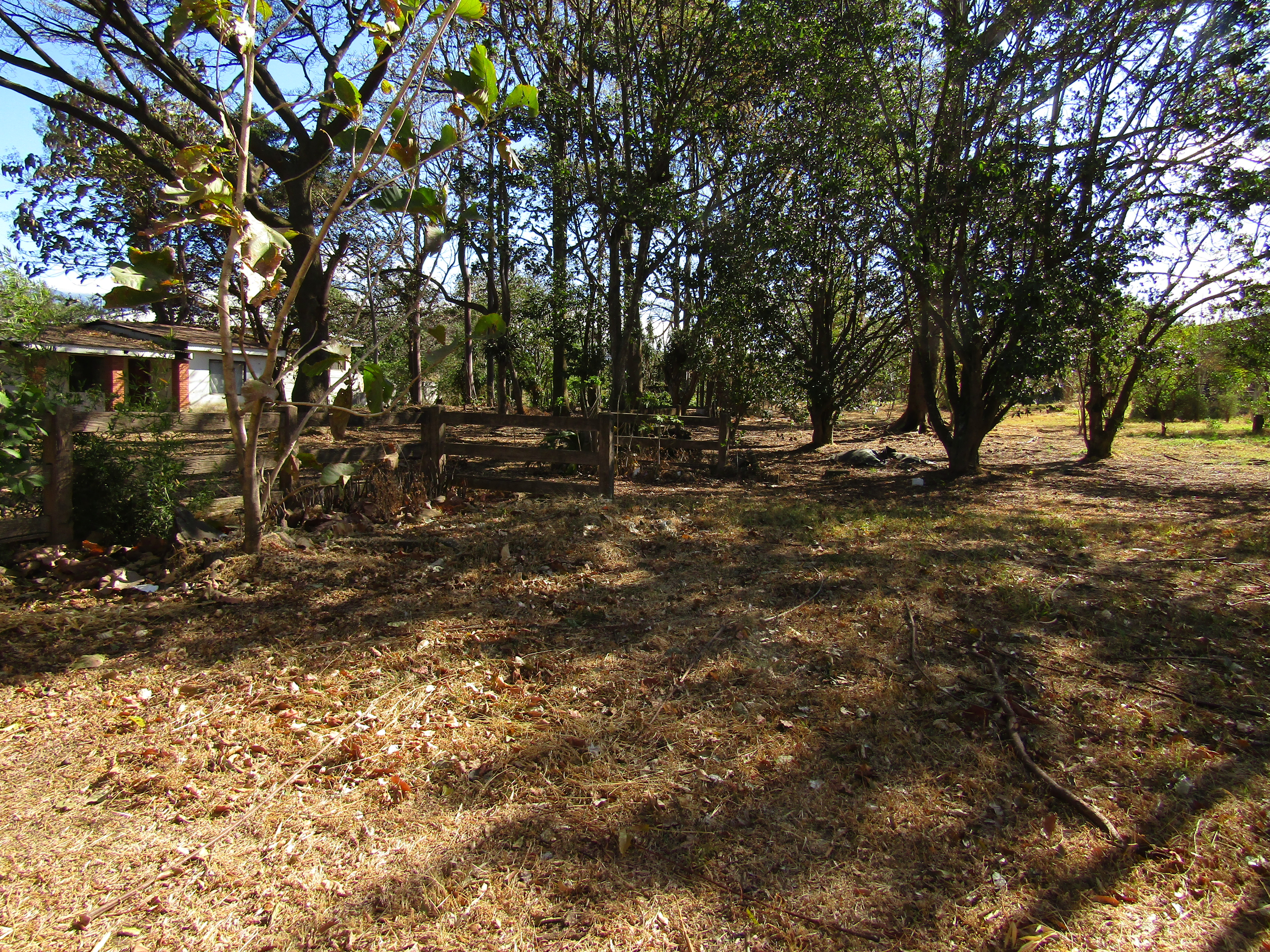 0 bed Land For Sale in Santa Ana, San Jose - thumb 3