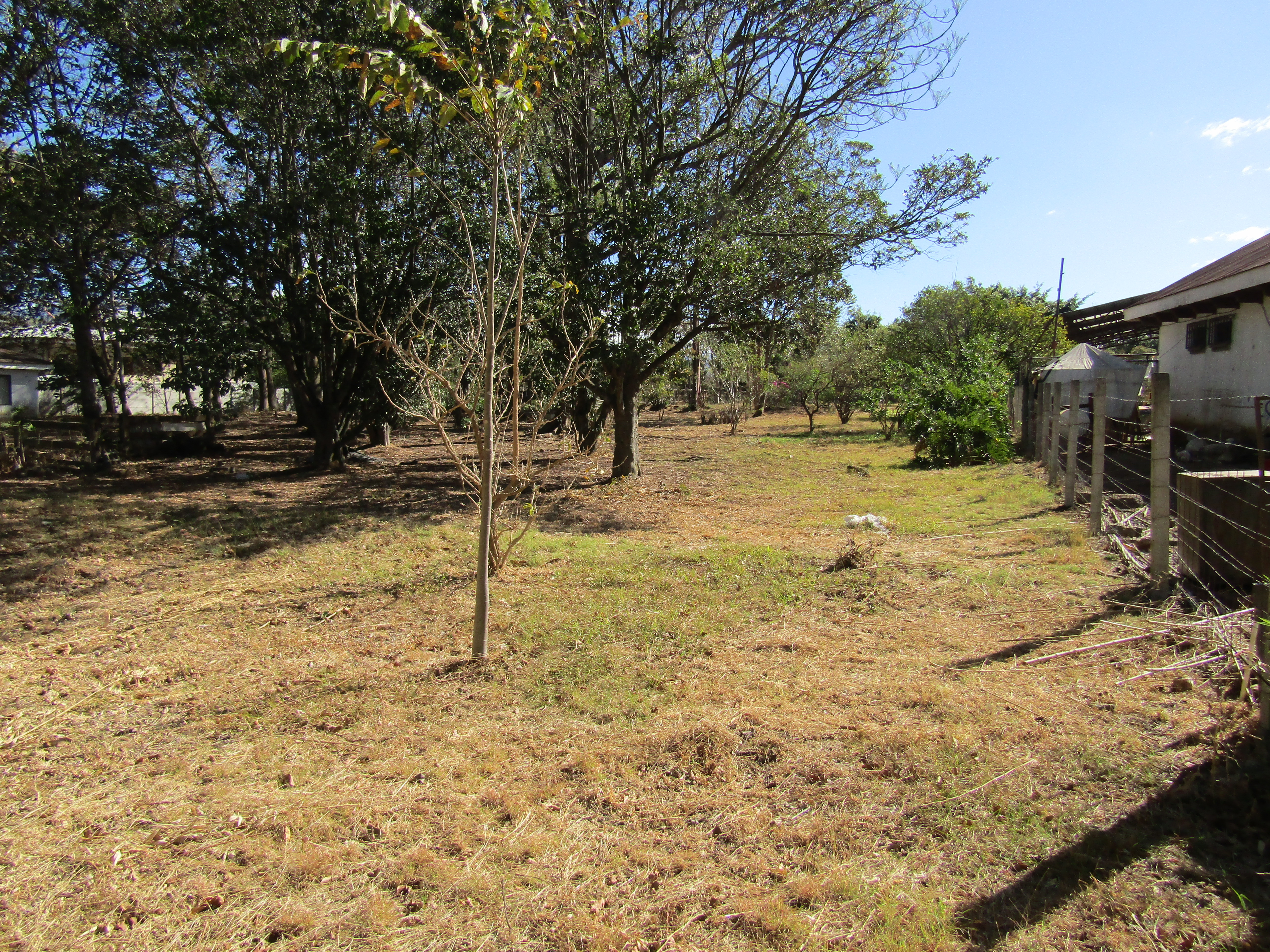 0 bed Land For Sale in Santa Ana, San Jose - thumb 5
