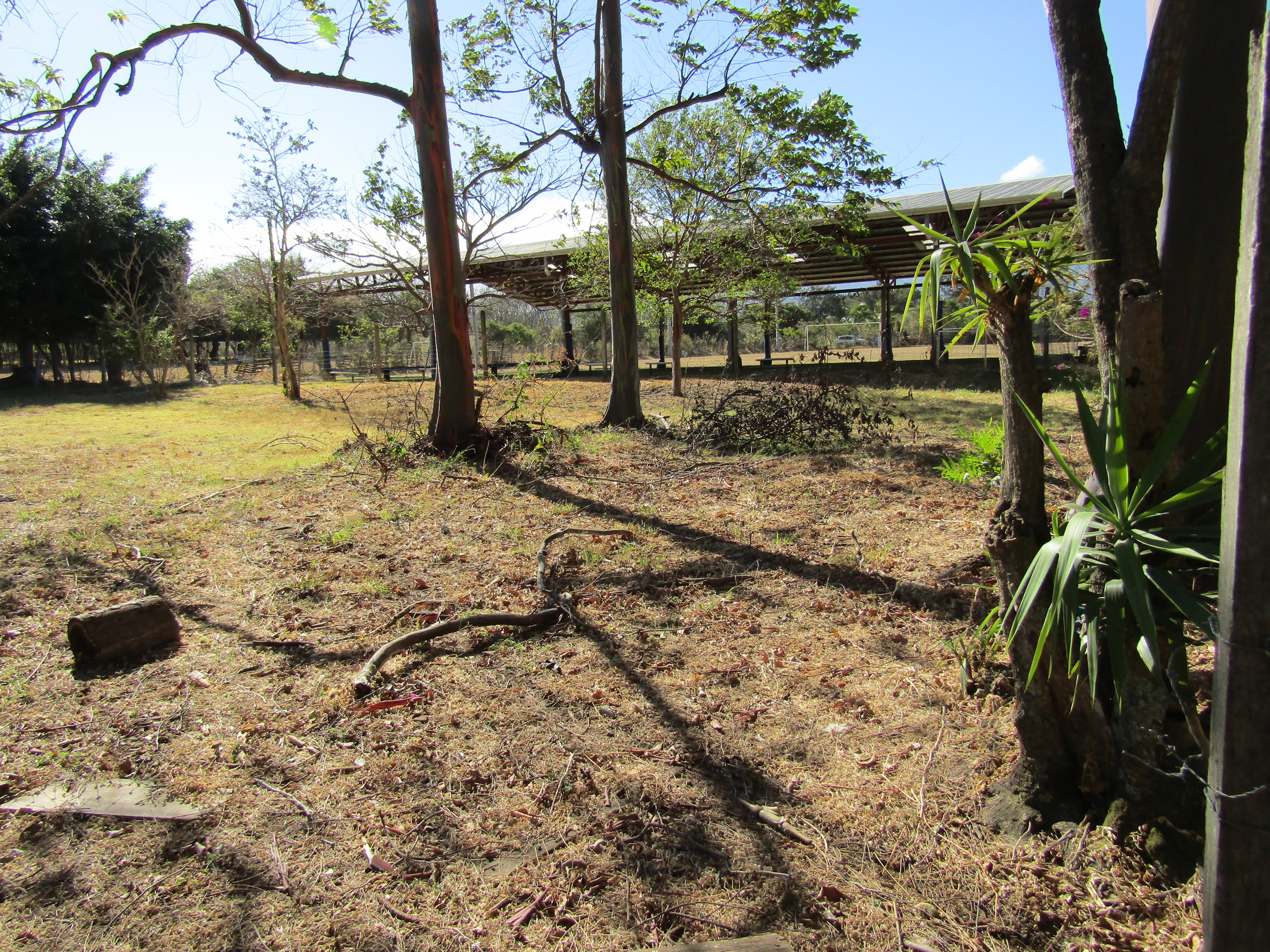 0 bed Land For Sale in Santa Ana, San Jose - thumb 12