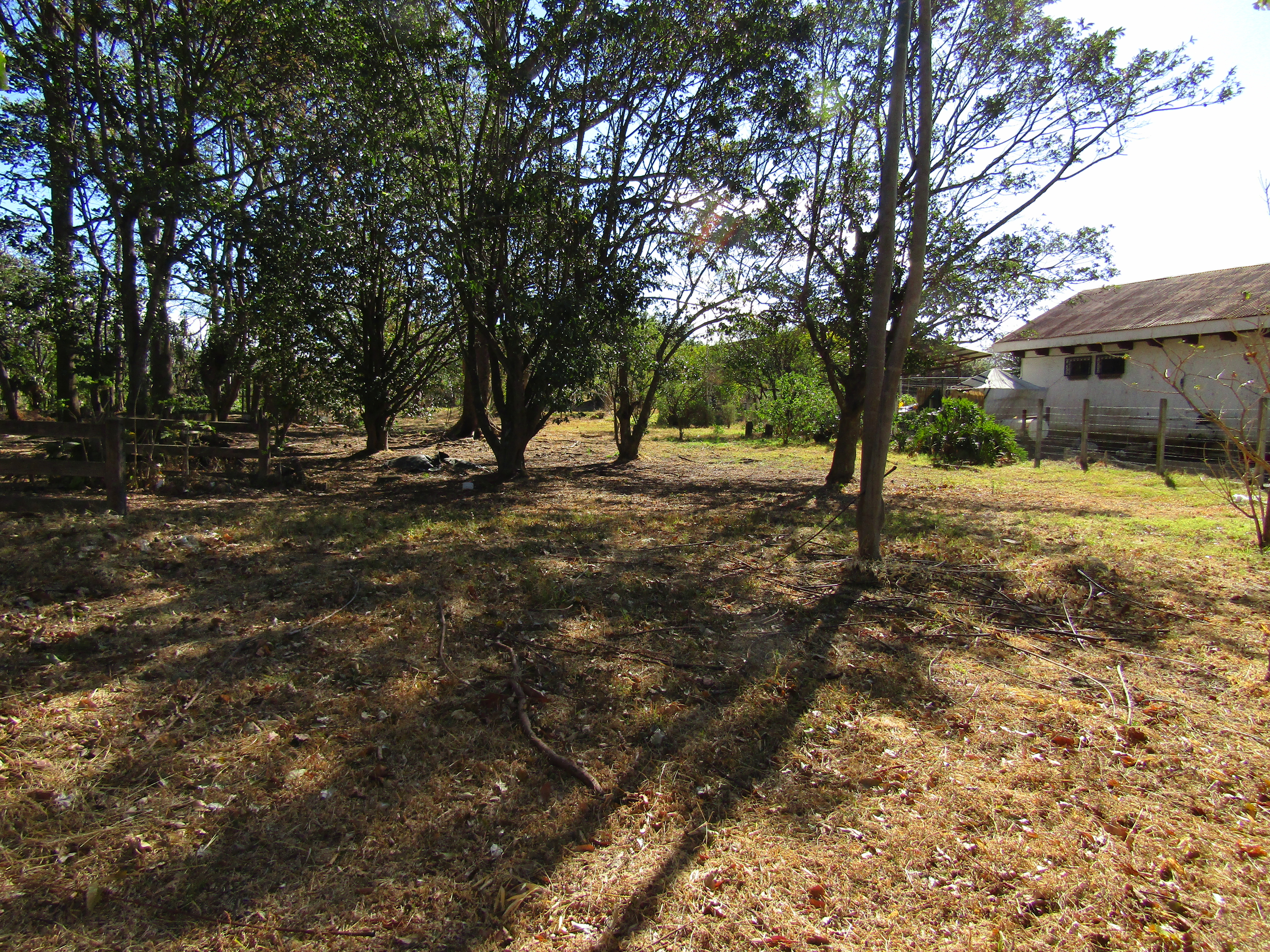 0 bed Land For Sale in Santa Ana, San Jose - thumb 4