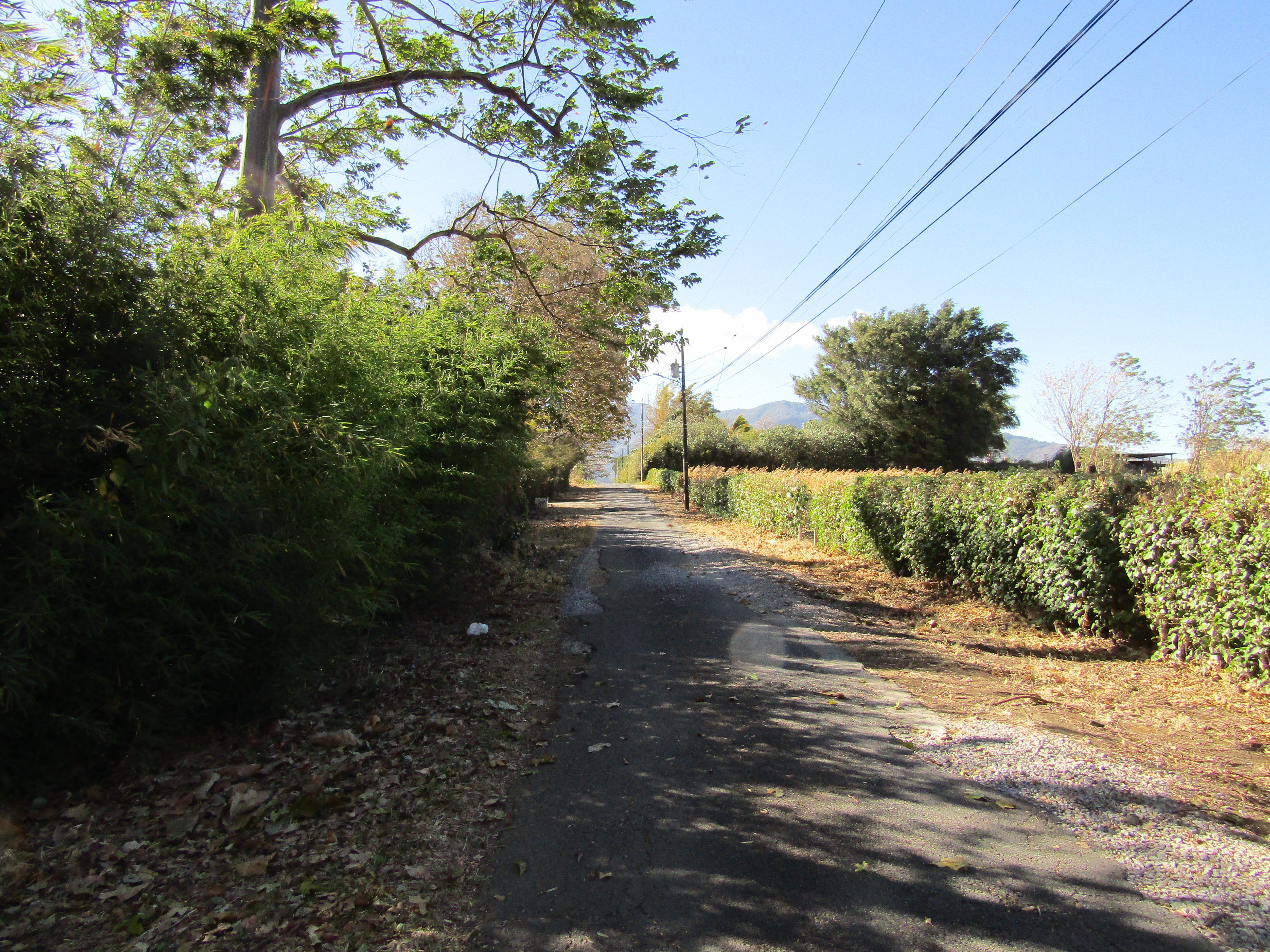 0 bed Land For Sale in Santa Ana, San Jose - thumb 1