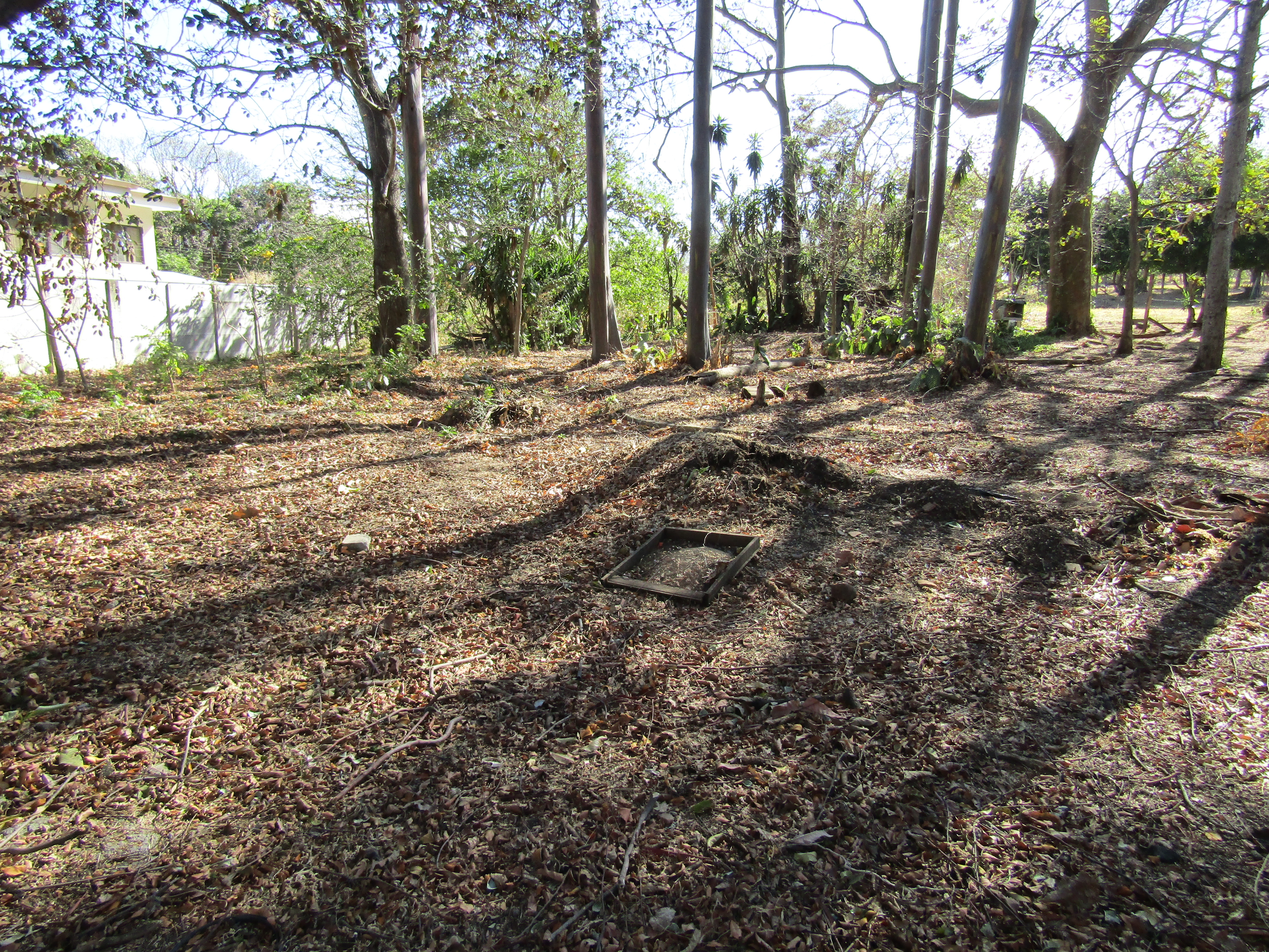 0 bed Land For Sale in Santa Ana, San Jose - thumb 9