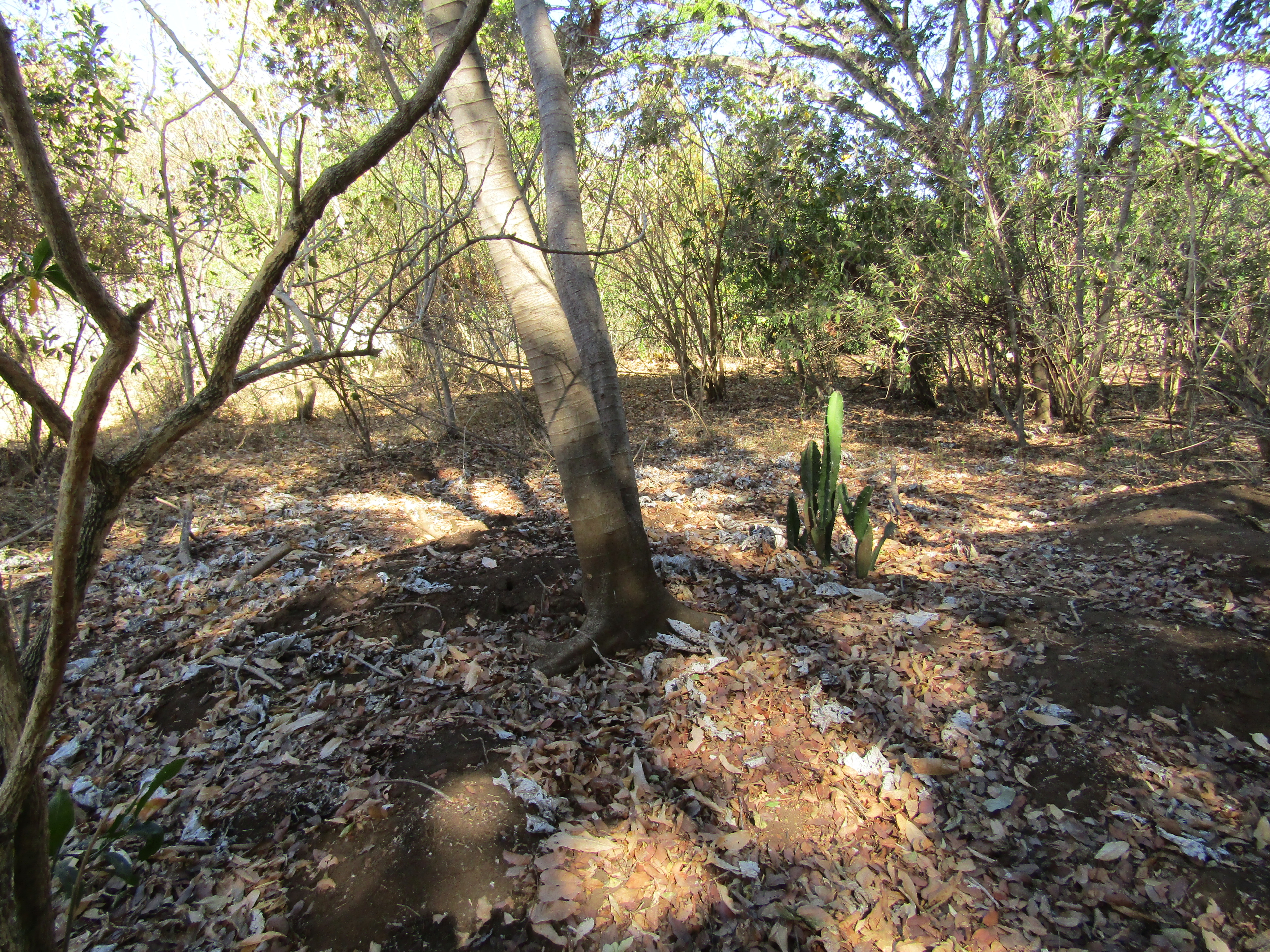 0 bed Land For Sale in Santa Ana, San Jose - thumb 18