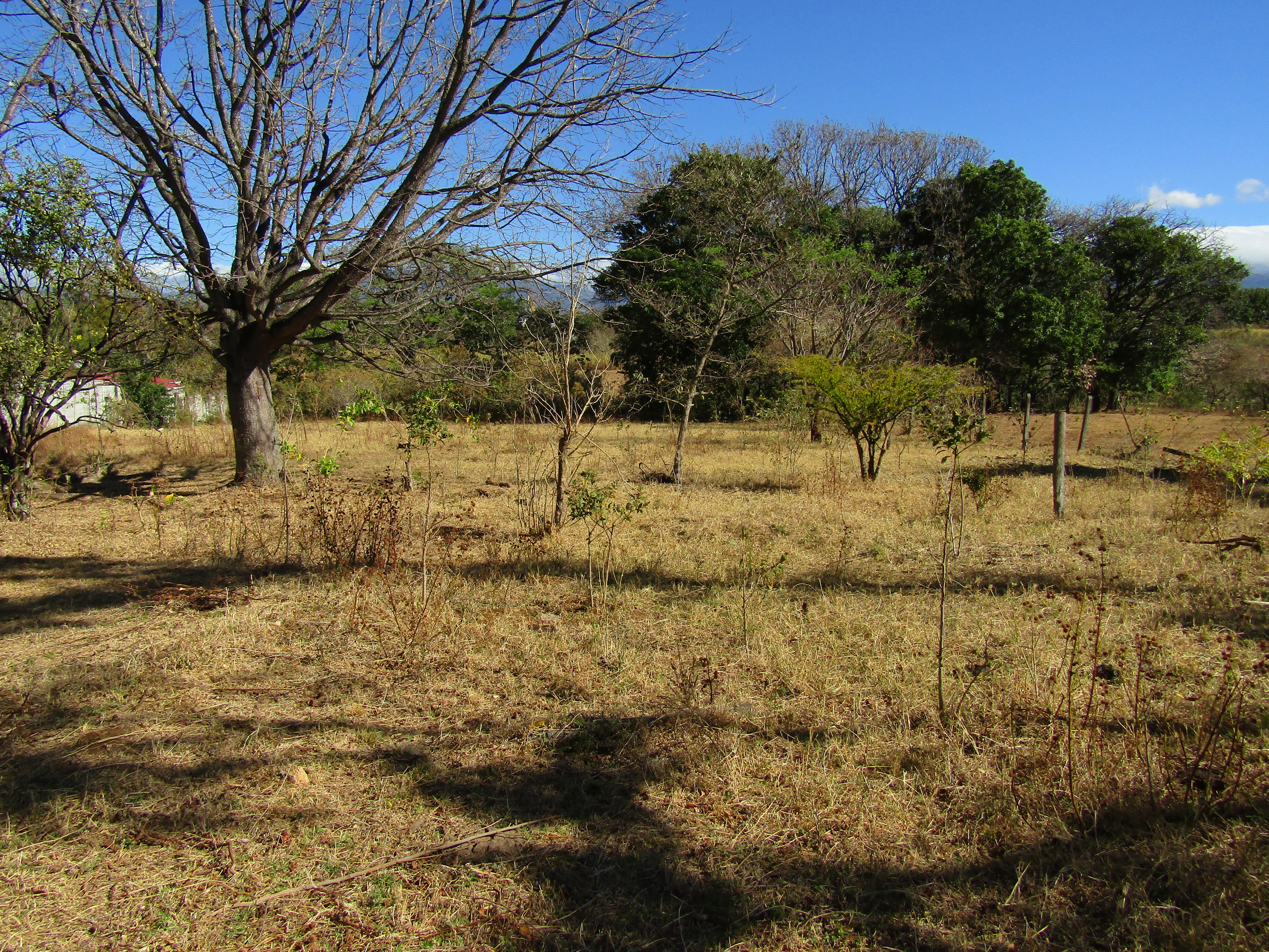 0 bed Land For Sale in Santa Ana, San Jose - thumb 14