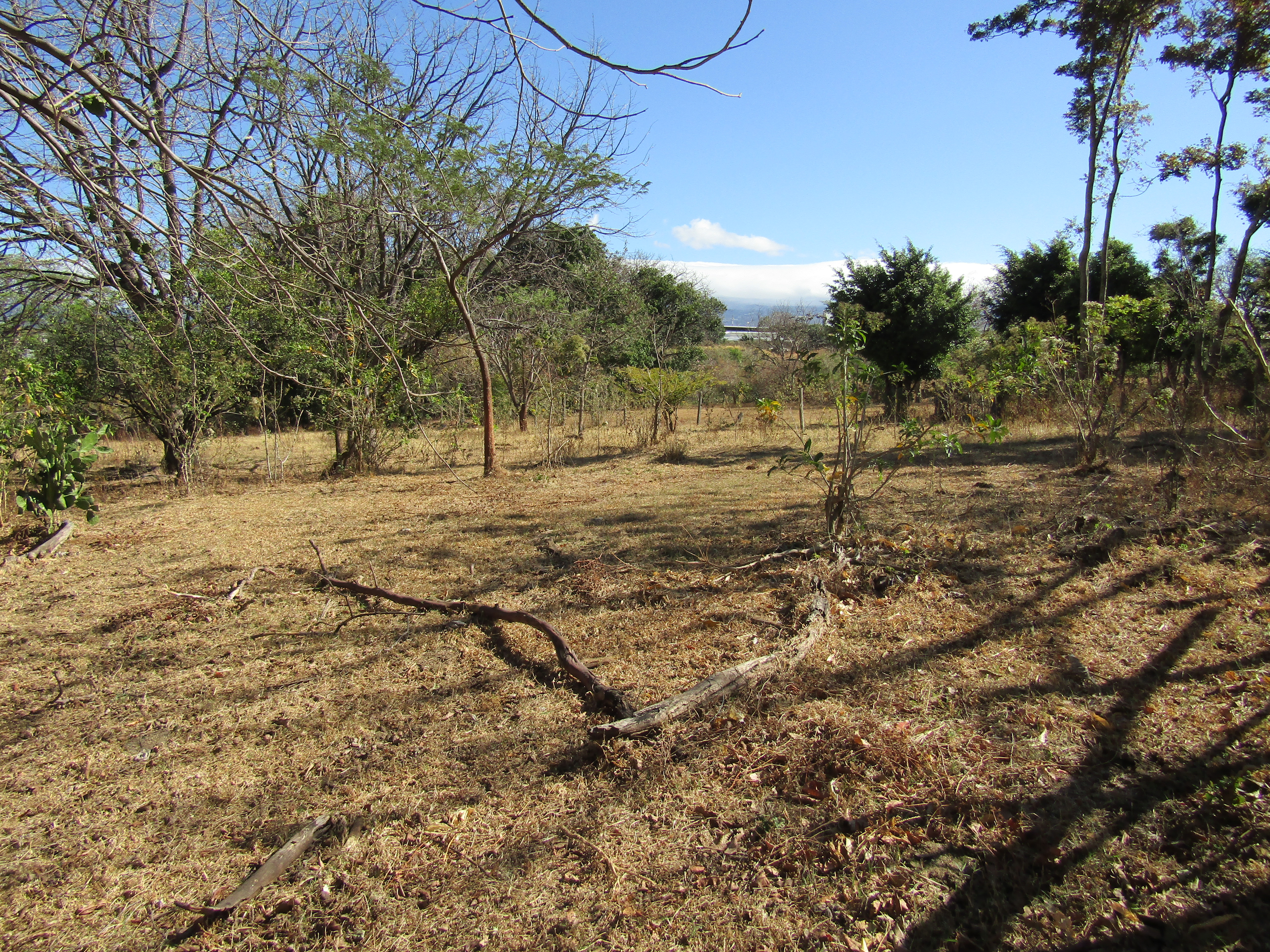 0 bed Land For Sale in Santa Ana, San Jose - thumb 13