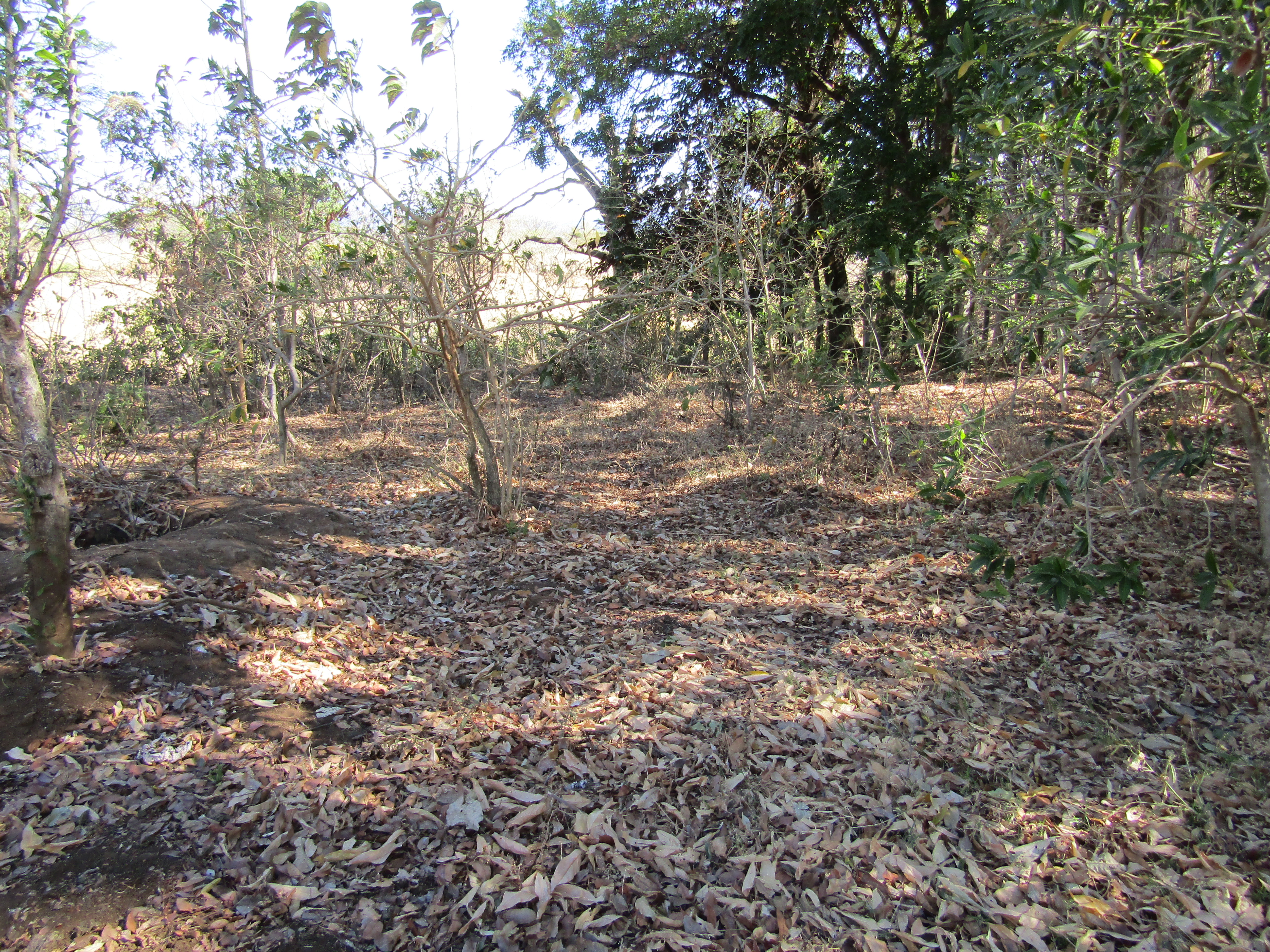 0 bed Land For Sale in Santa Ana, San Jose - thumb 19