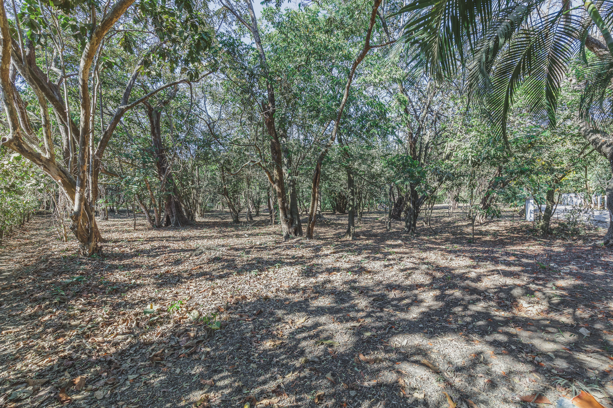 0 bed Land For Sale in Ostional, Guanacaste - thumb 7