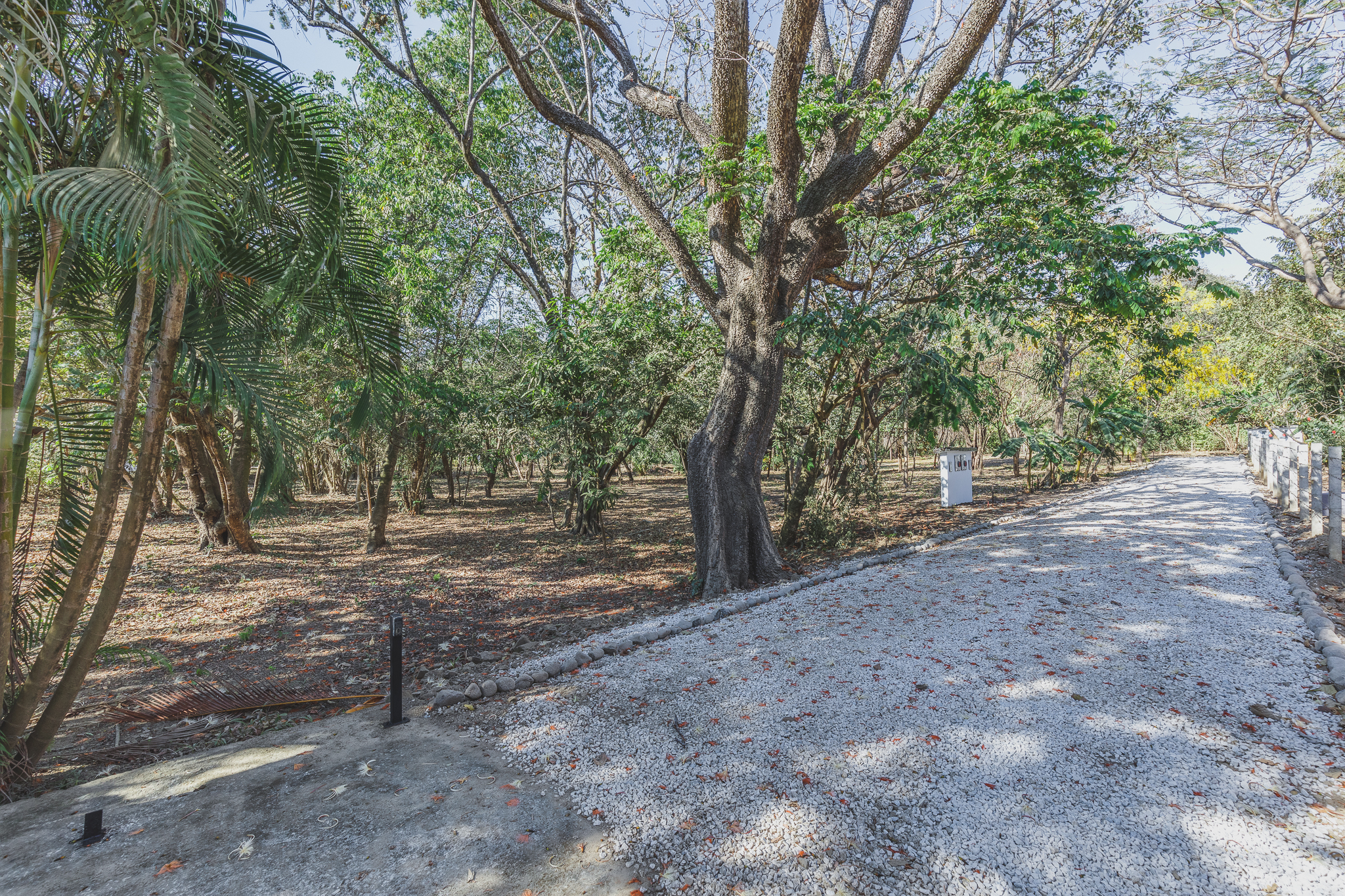 0 bed Land For Sale in Ostional, Guanacaste - thumb 8