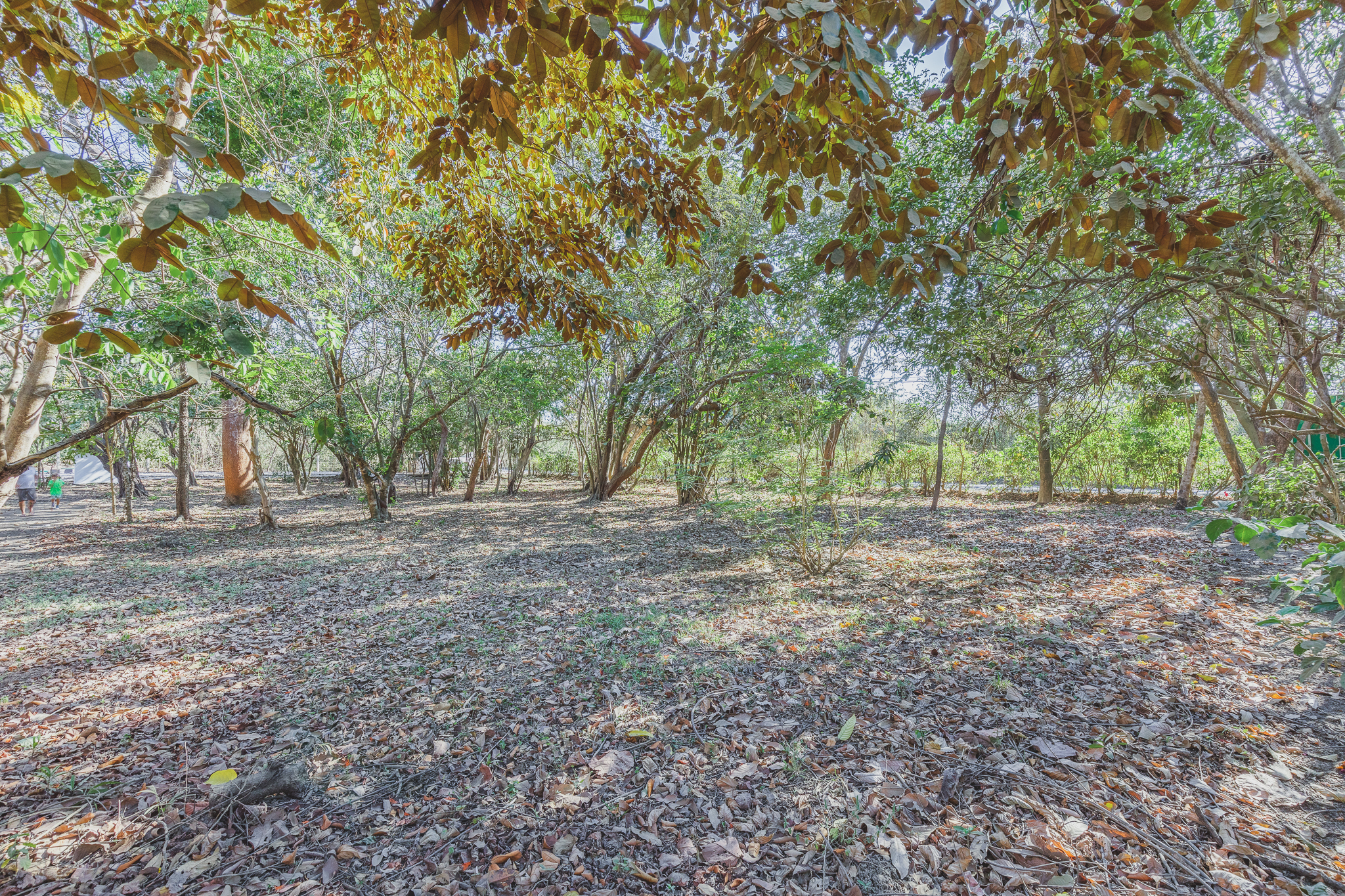 0 bed Land For Sale in Ostional, Guanacaste - thumb 10