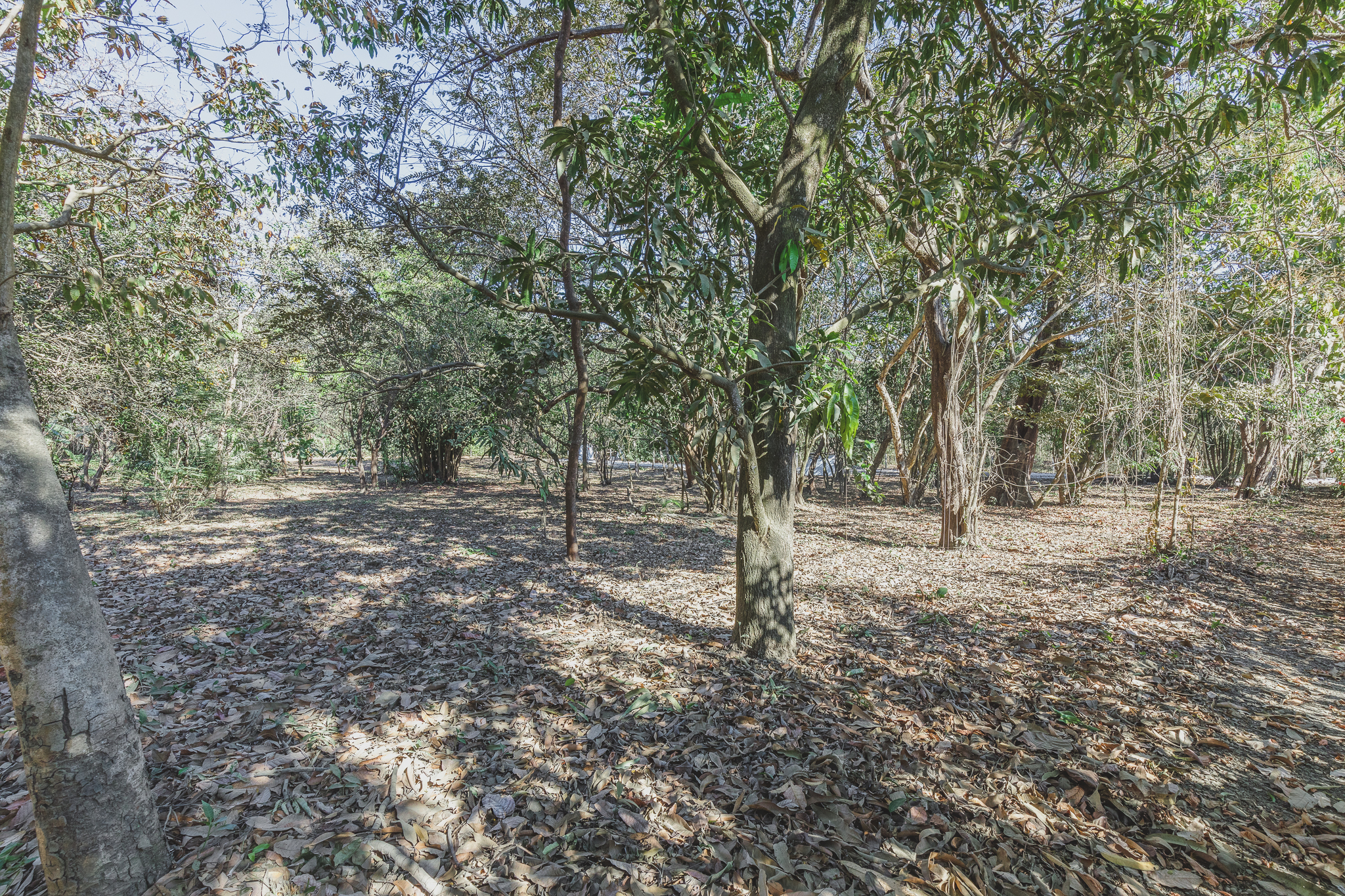 0 bed Land For Sale in Ostional, Guanacaste - thumb 11