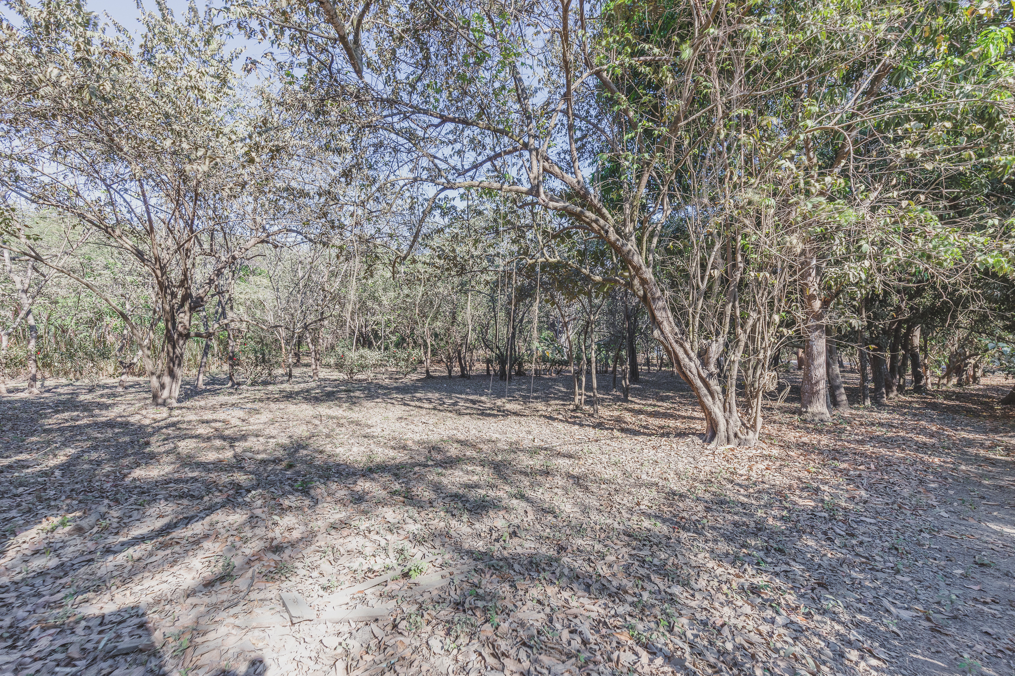 0 bed Land For Sale in Ostional, Guanacaste - thumb 2