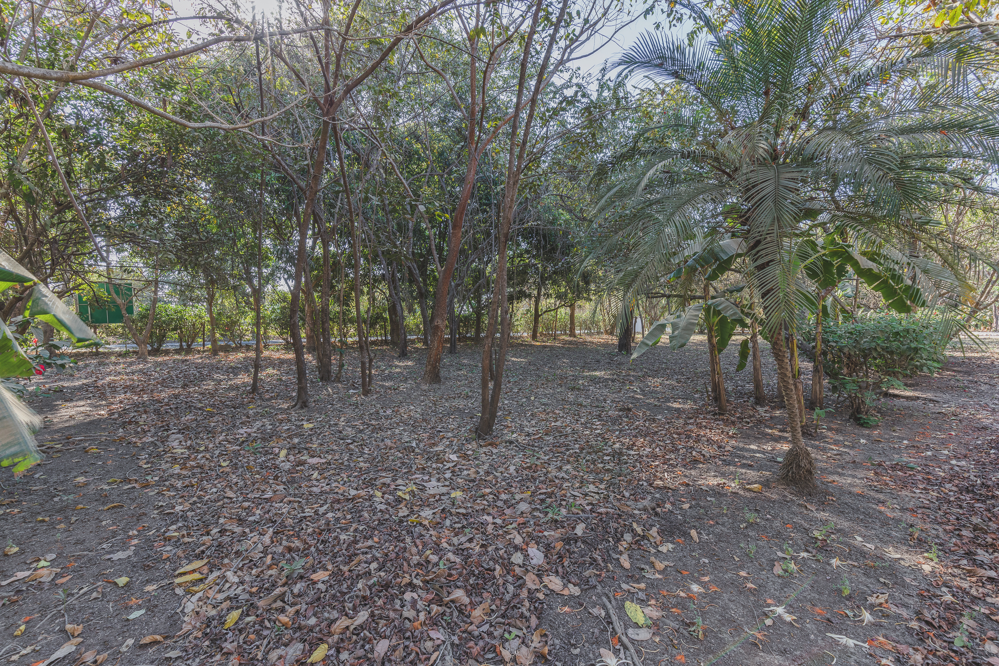 0 bed Land For Sale in Ostional, Guanacaste - thumb 6