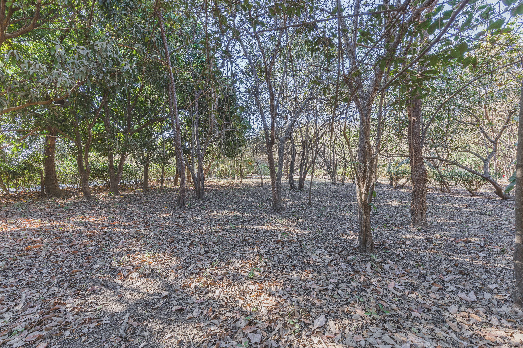 0 bed Land For Sale in Ostional, Guanacaste - thumb 5