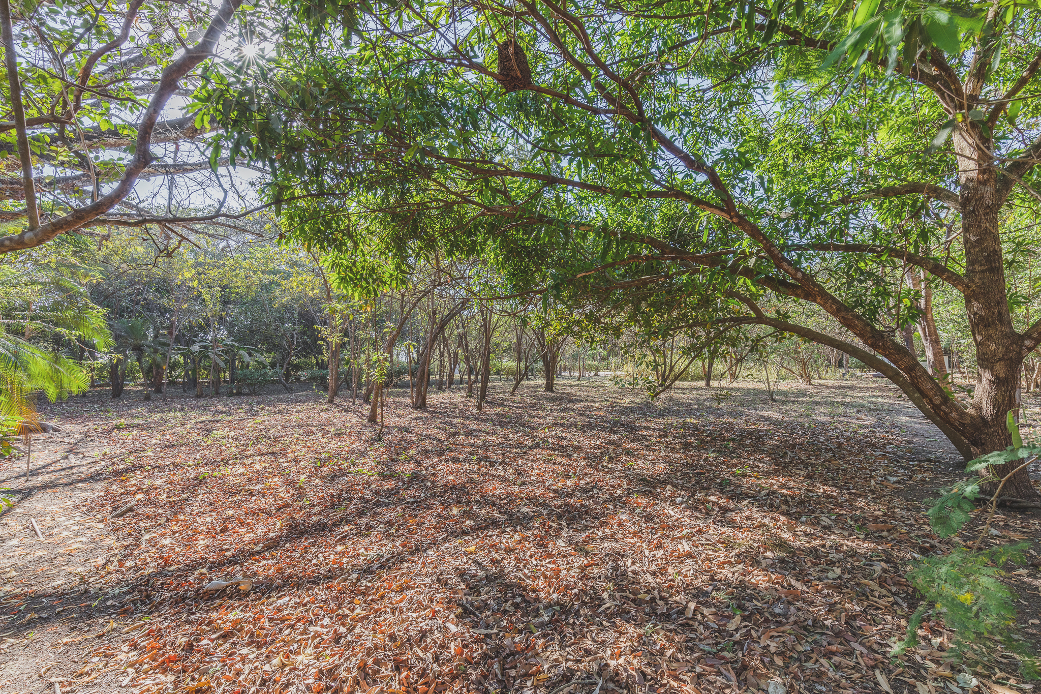 0 bed Land For Sale in Ostional, Guanacaste - thumb 5