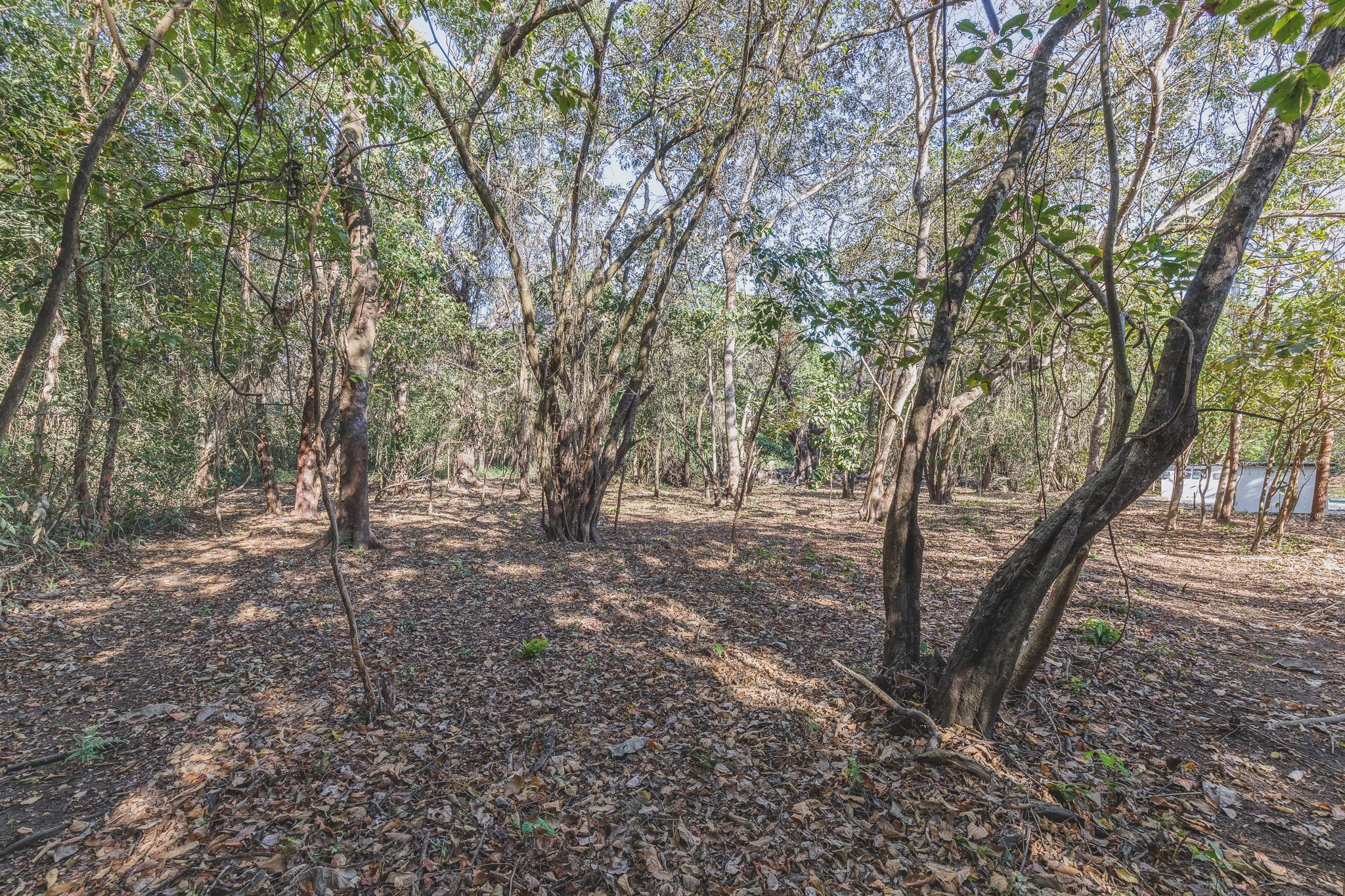 0 bed Land For Sale in Ostional, Guanacaste - thumb 6