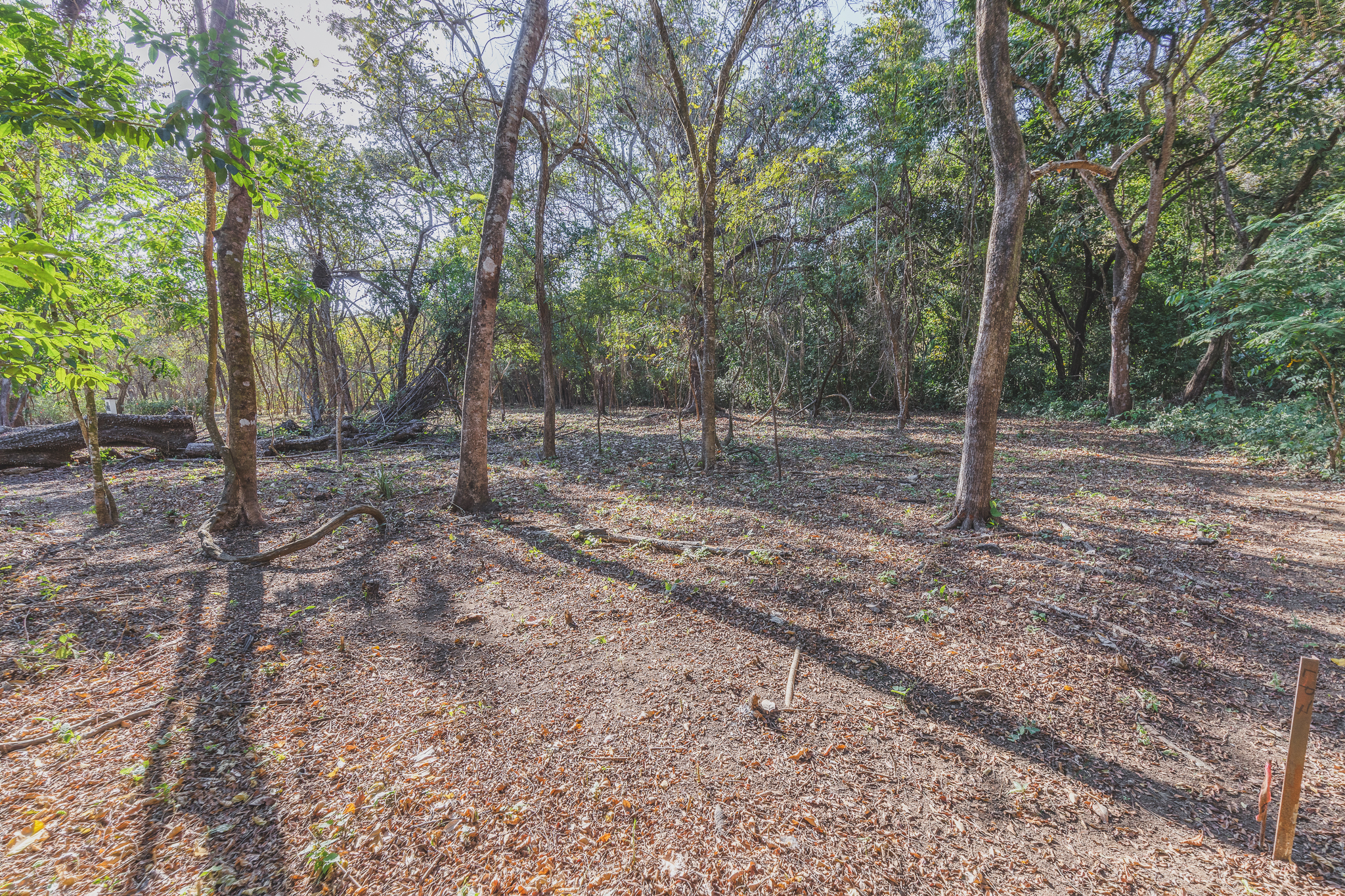 0 bed Land For Sale in Ostional, Guanacaste - thumb 9