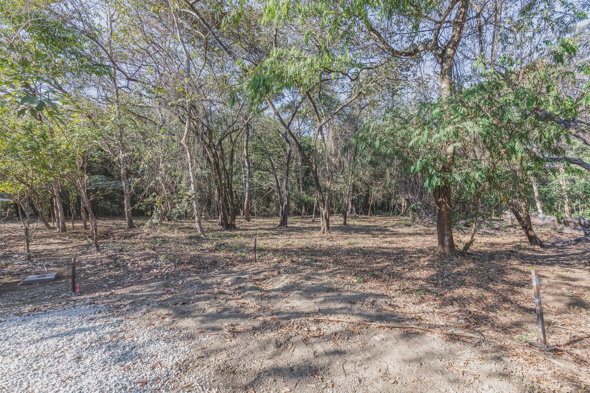 0 bed Land For Sale in Ostional, Guanacaste - thumb 4