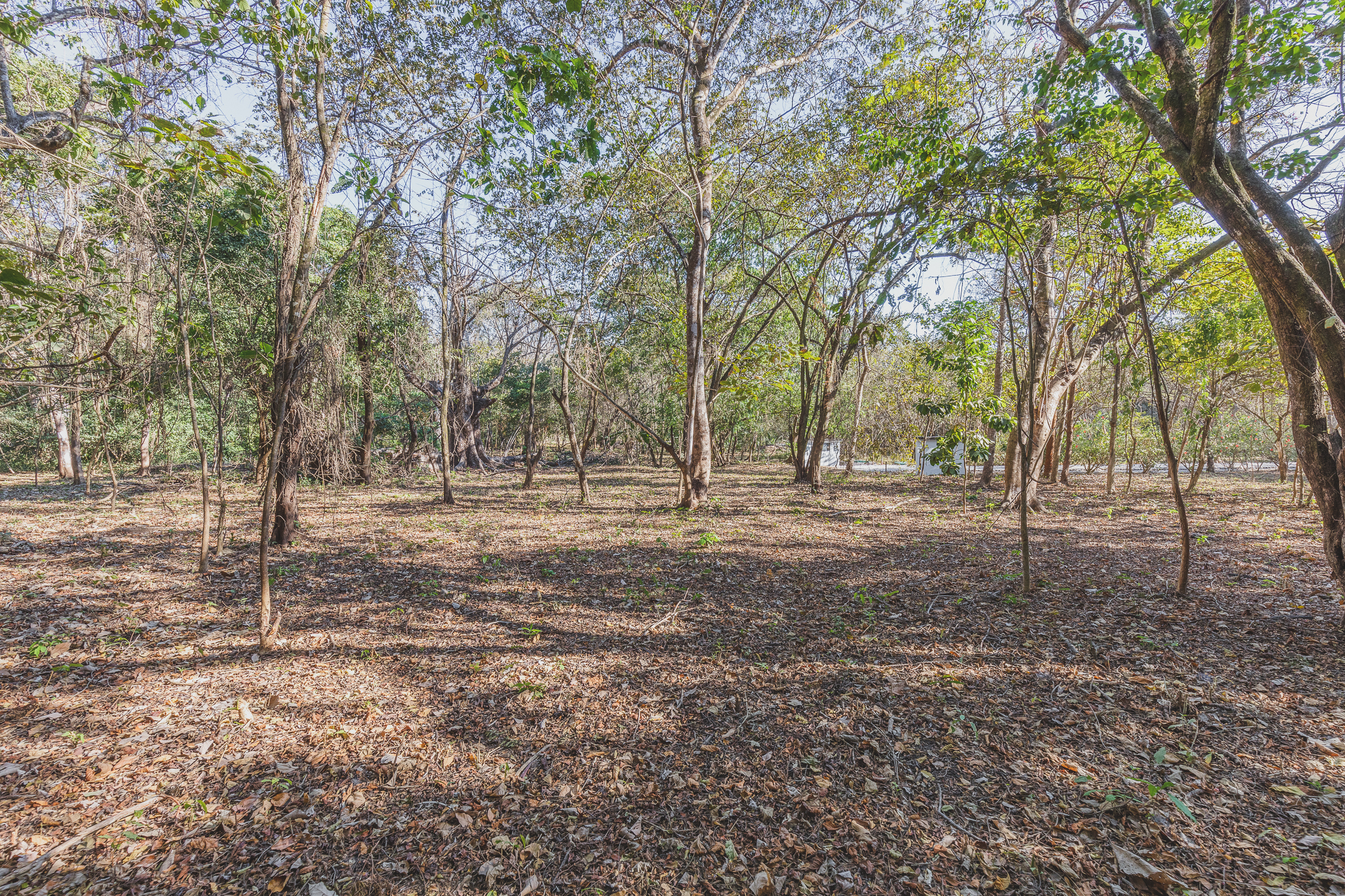 0 bed Land For Sale in Ostional, Guanacaste - thumb 7