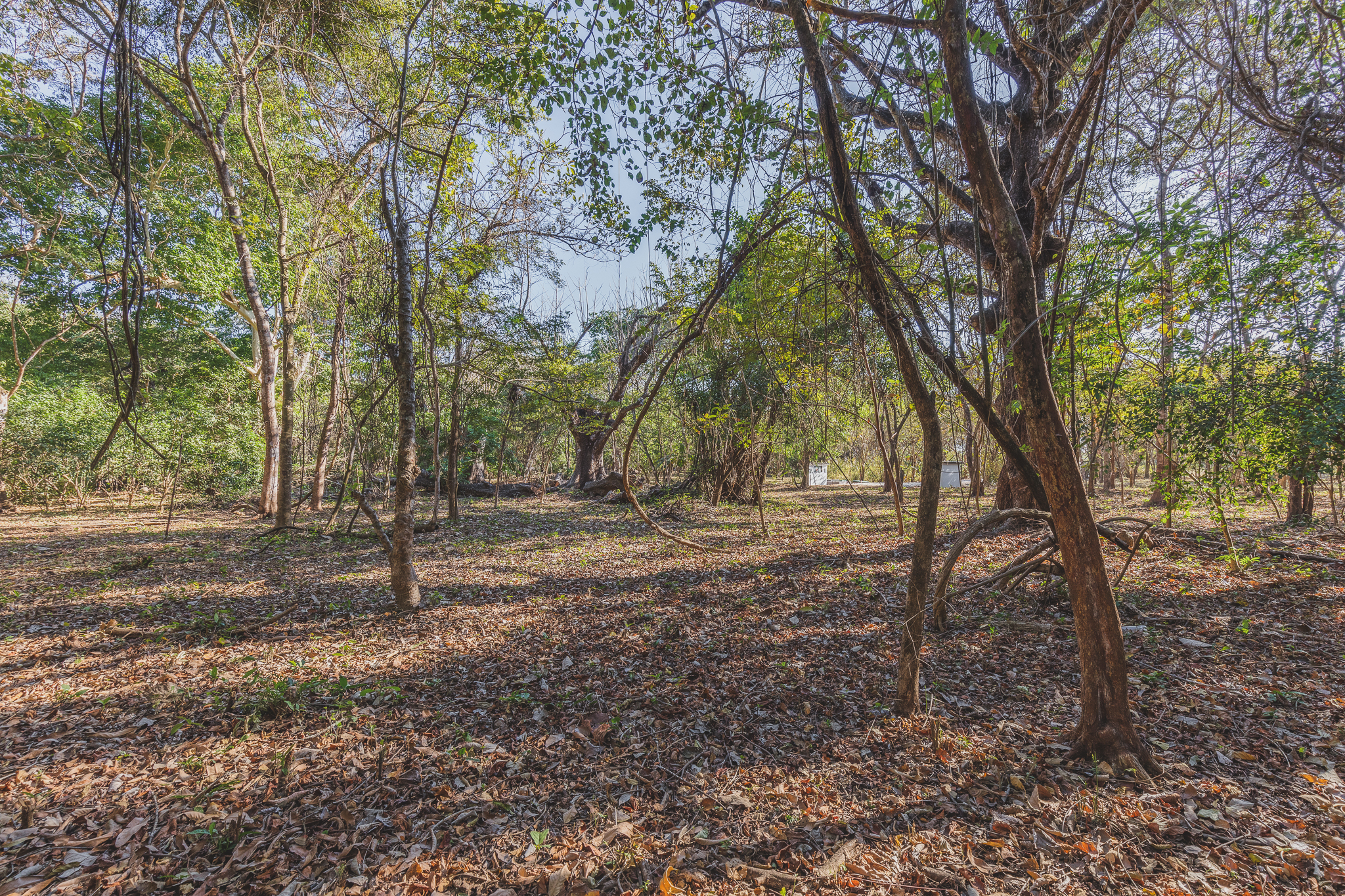 0 bed Land For Sale in Ostional, Guanacaste - thumb 8