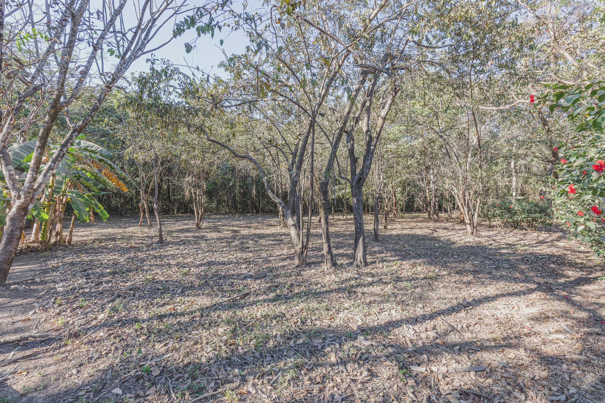 0 bed Land For Sale in Ostional, Guanacaste - thumb 1