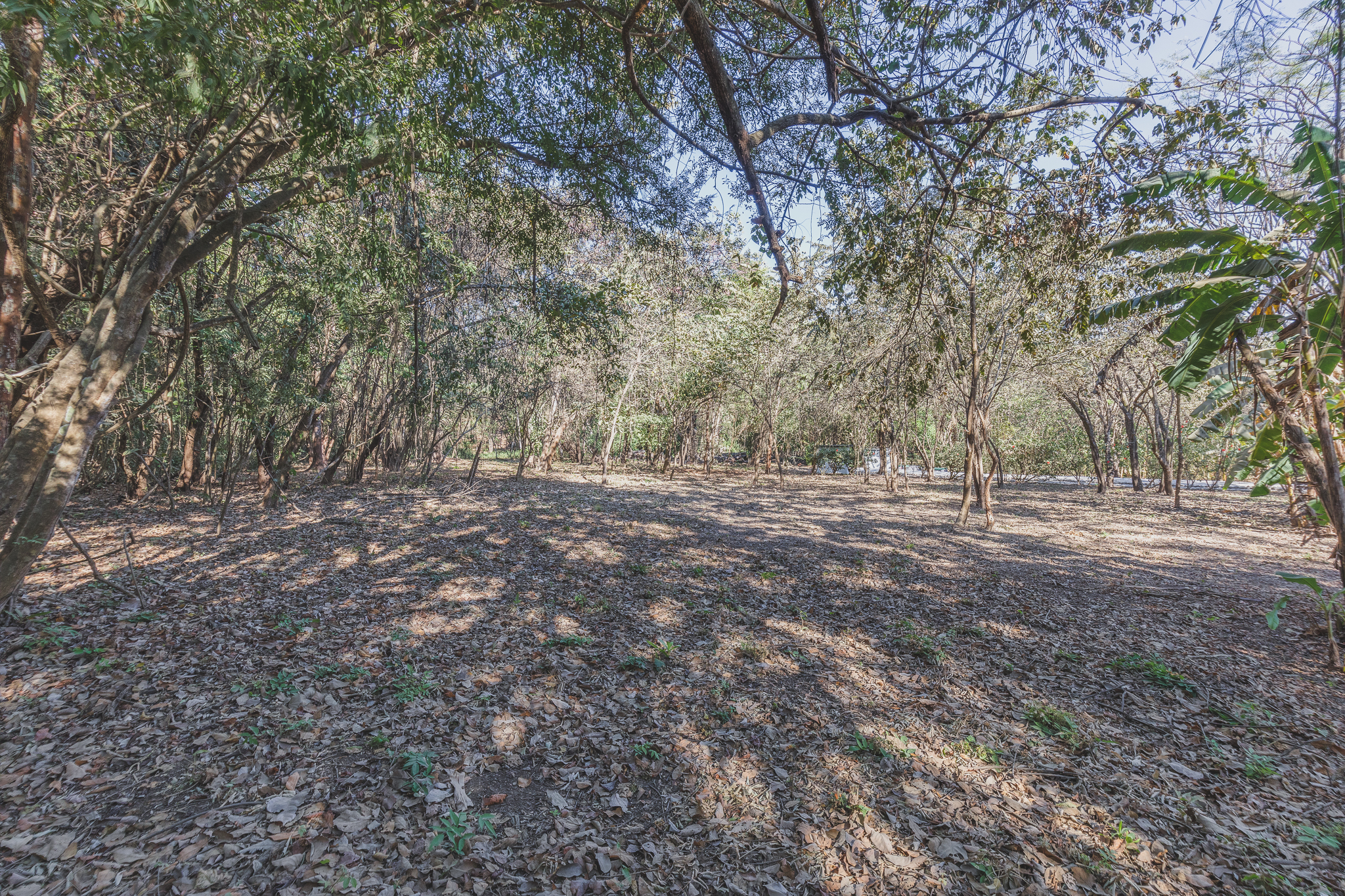 0 bed Land For Sale in Ostional, Guanacaste - thumb 3