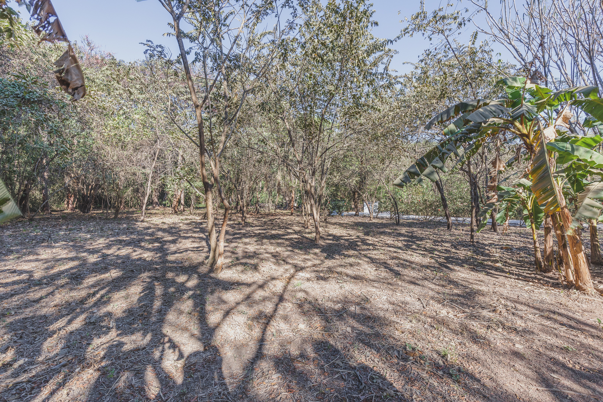 0 bed Land For Sale in Ostional, Guanacaste - thumb 2