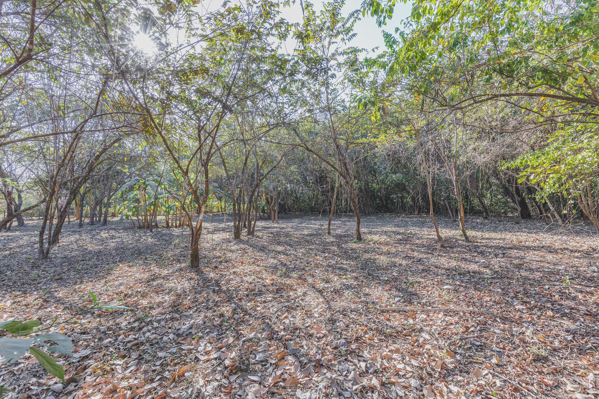 0 bed Land For Sale in Ostional, Guanacaste - thumb 4