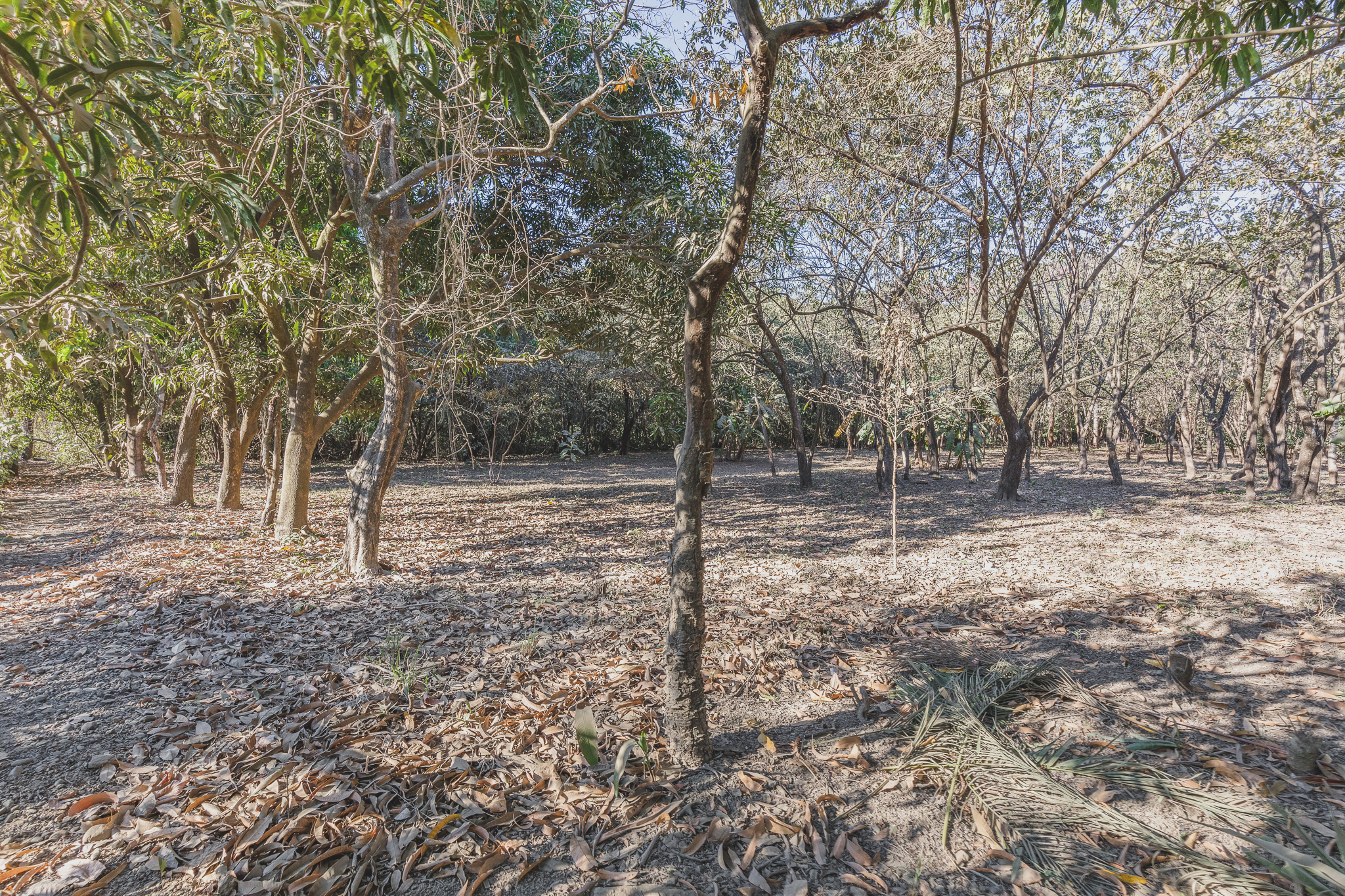 0 bed Land For Sale in Ostional, Guanacaste - thumb 2