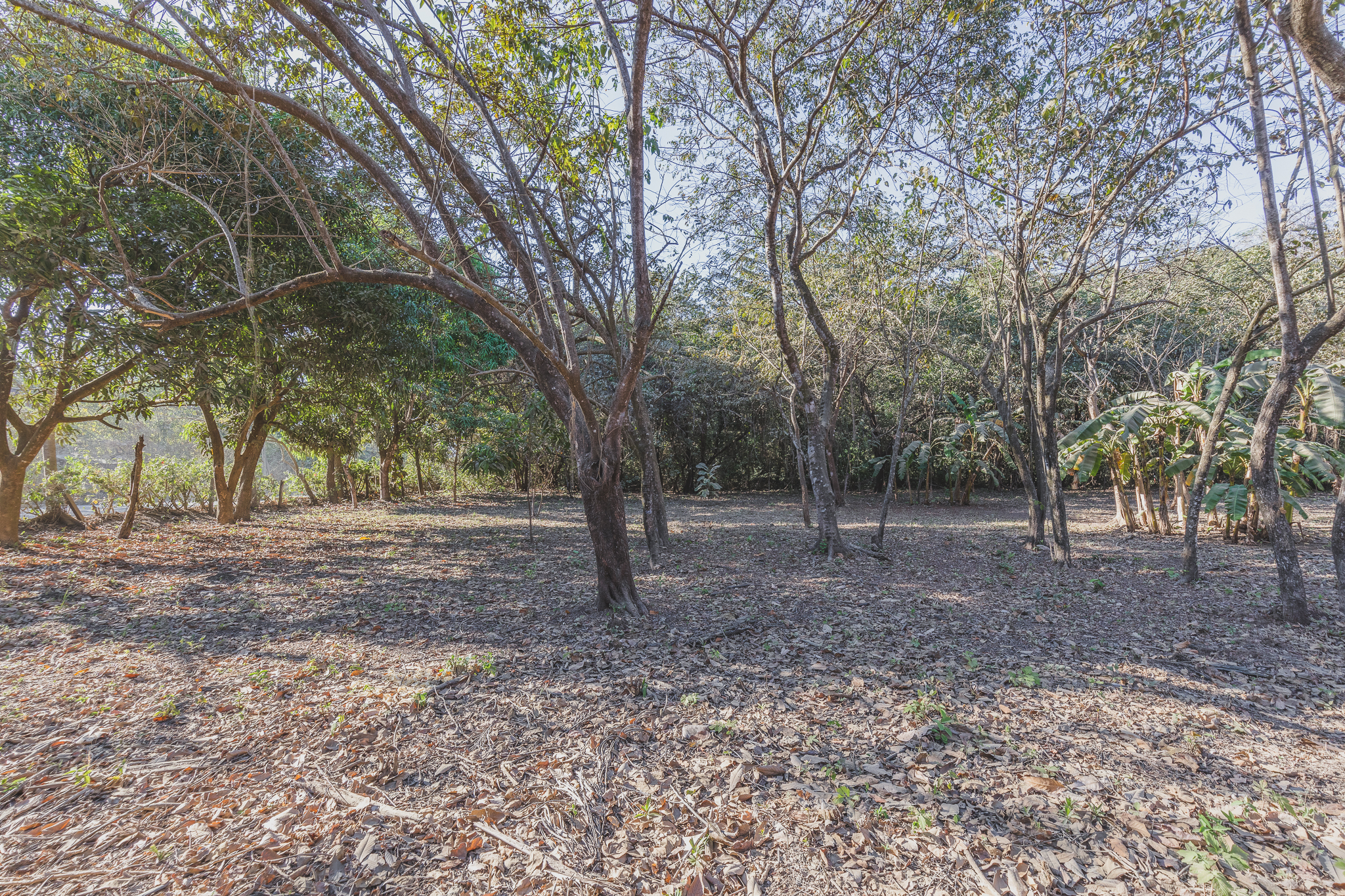 0 bed Land For Sale in Ostional, Guanacaste - thumb 1