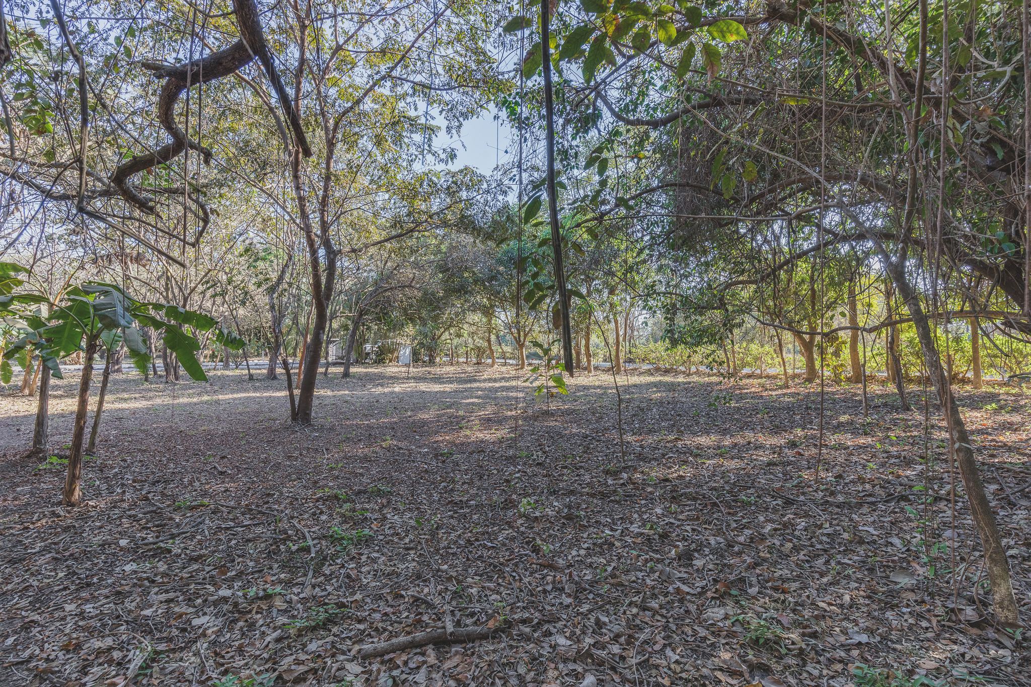 0 bed Land For Sale in Ostional, Guanacaste - thumb 5