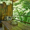  - Well Established Airbnb in Prime Samara Location