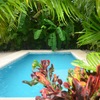  - Well Established Airbnb in Prime Samara Location