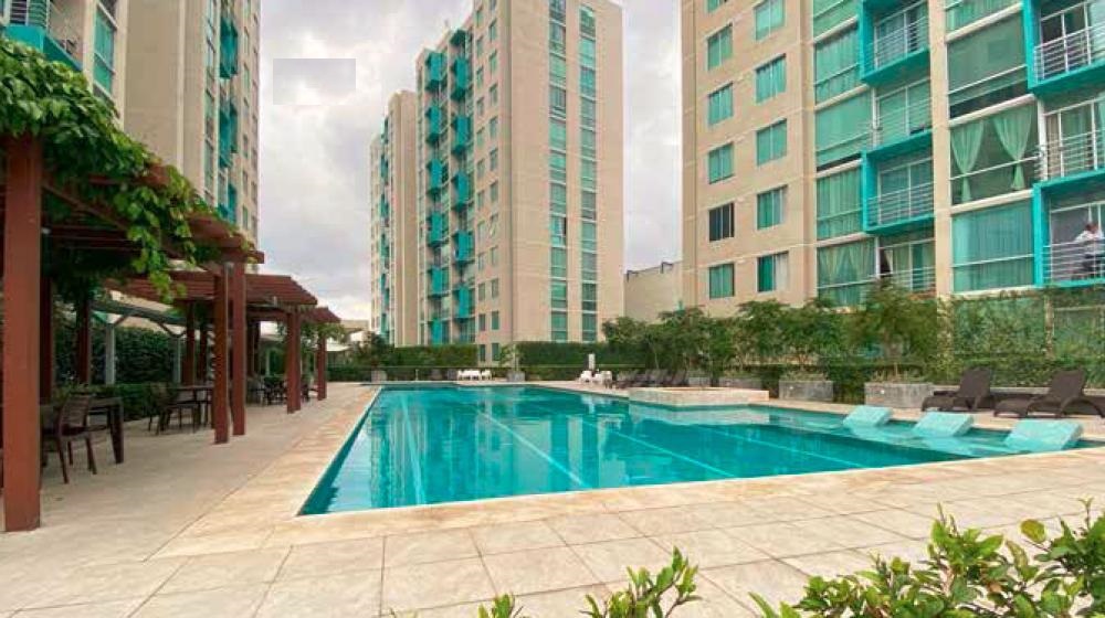 2 bed Condo For Rent in San Jose, San Jose - thumb 1