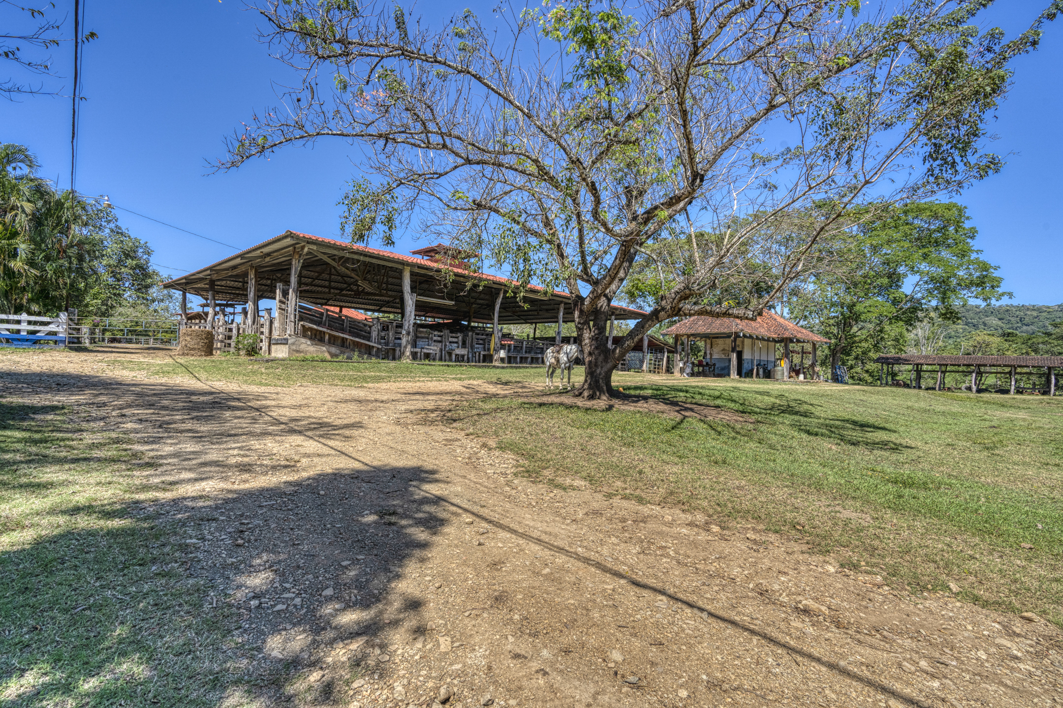 8 bed Single Family Homes For Sale in Abangares, Guanacaste - thumb 8