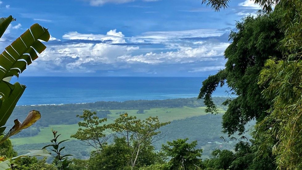 1 bed Single Family Homes For Sale in Matapalo, Puntarenas - thumb 28